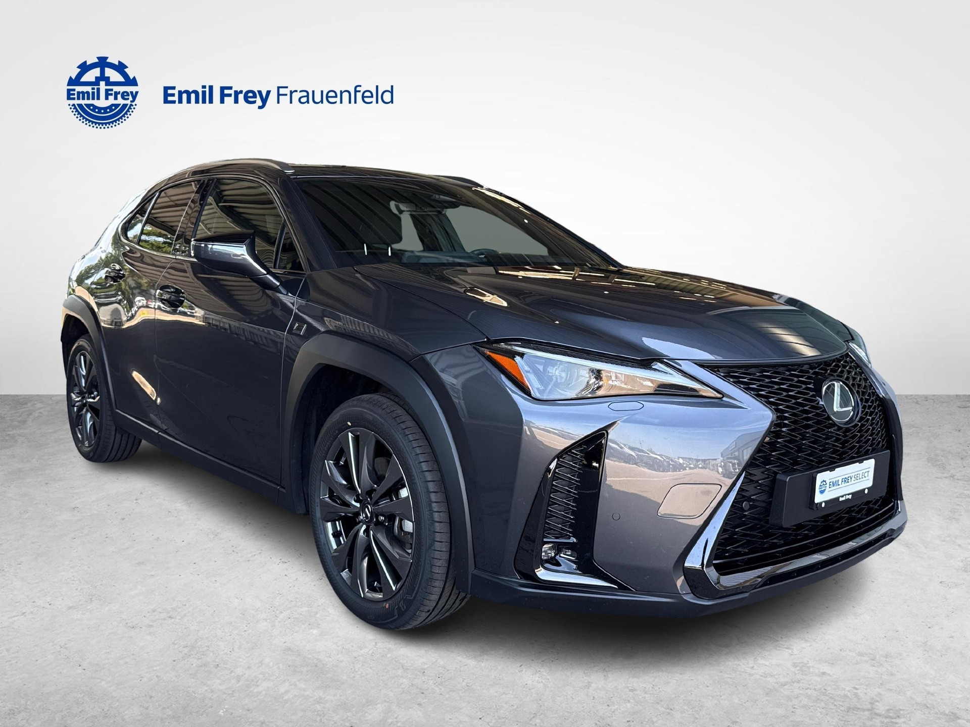 LEXUS UX 300h F-Line-image-6