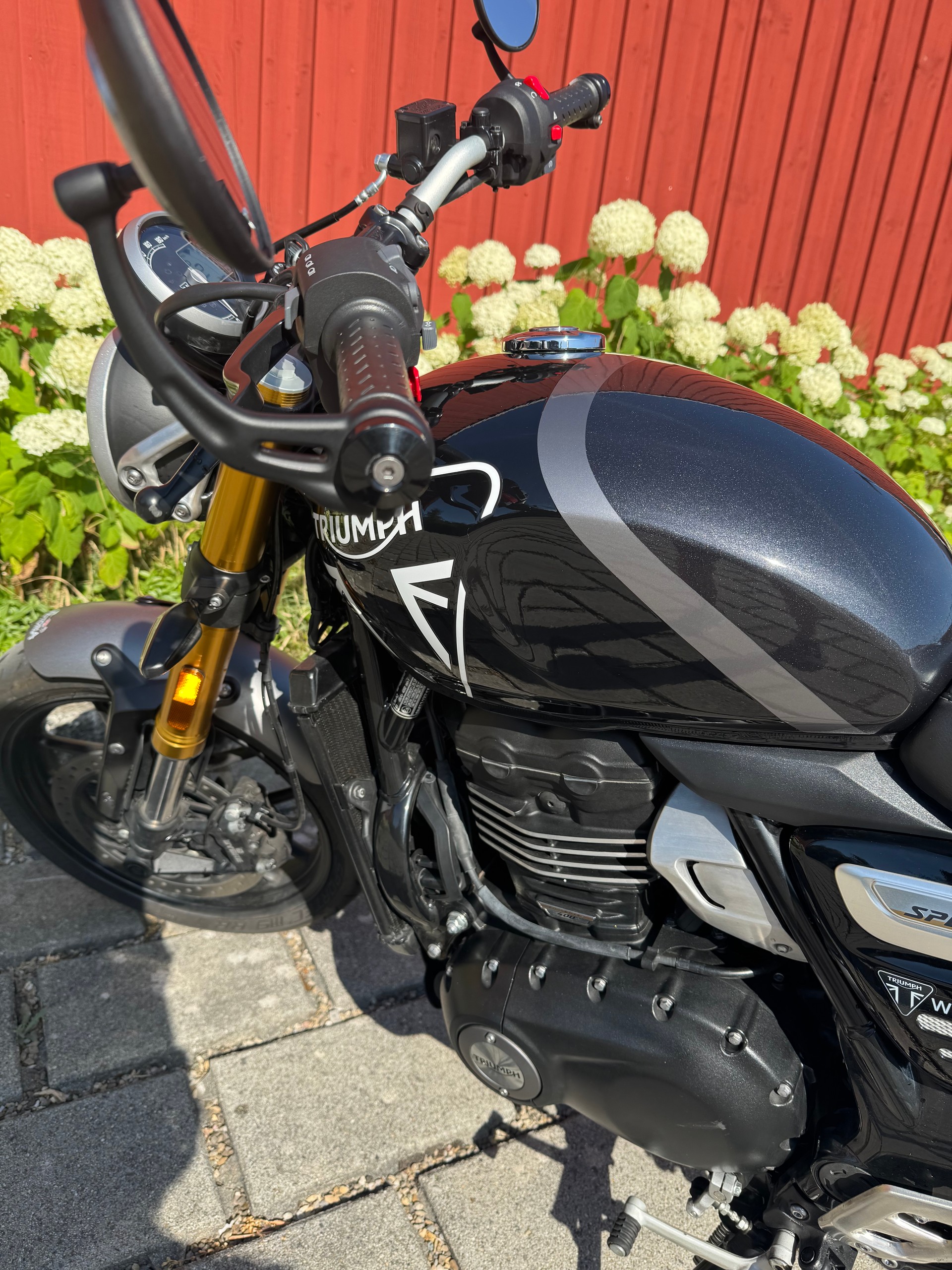 TRIUMPH Speed 400-image-2