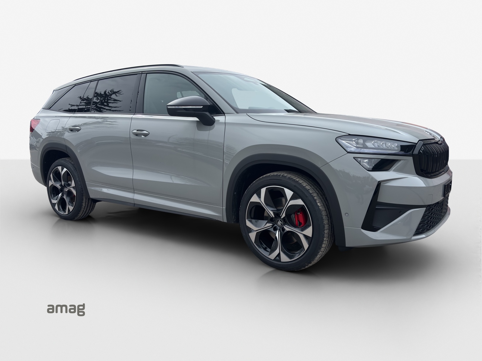 SKODA Kodiaq RS 2.0TSI 265PS 7DSG4x4-image-5