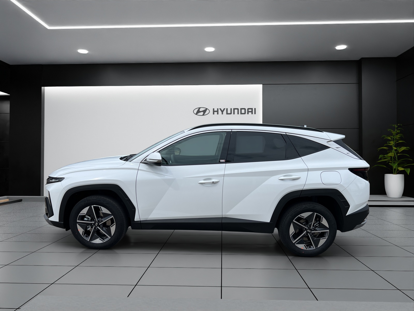 HYUNDAI Tucson 1.6 TGDI HEV Amplia 2WD-showroom-element-1