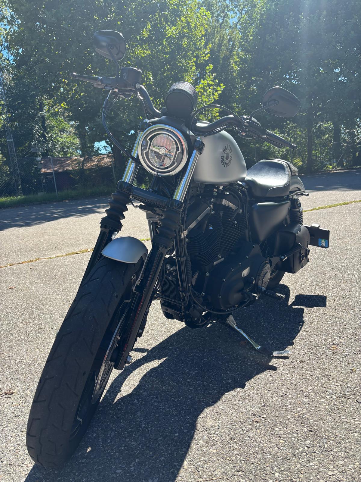 HARLEY-DAVIDSON XL 883 N Sportster Iron ABS-image-1