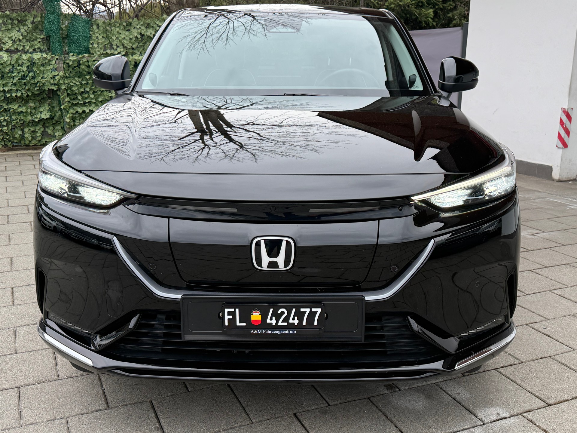 HONDA Ny1 Elegance-image-1