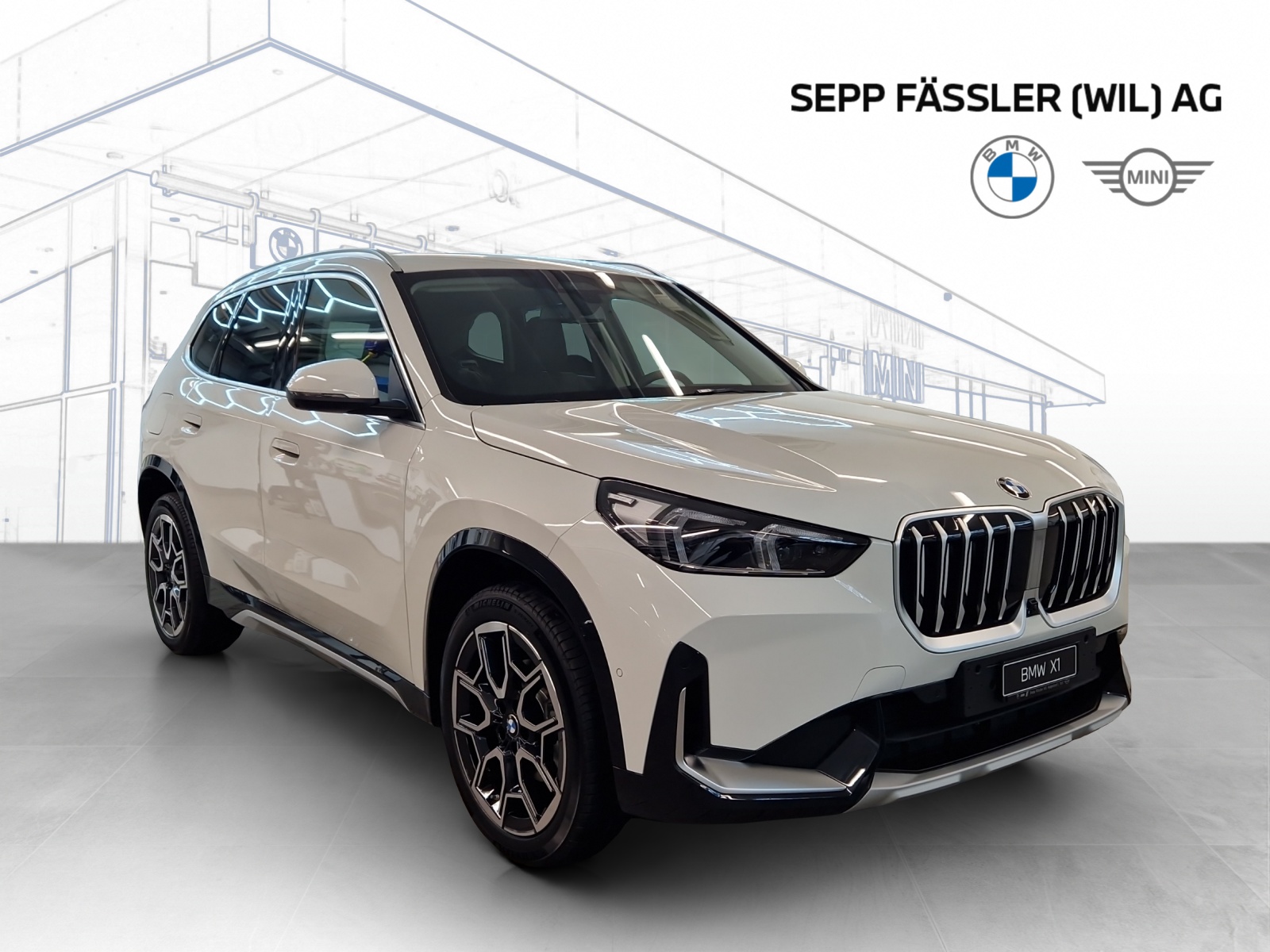 BMW X1 xDrive 20d 48V xLine-showroom-element-2