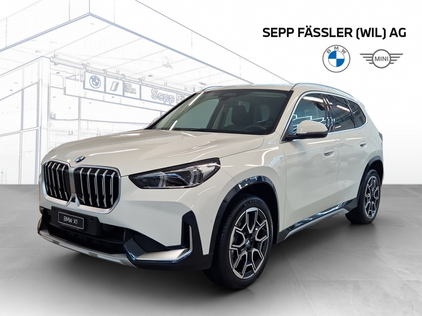 BMW X1 xDrive 20d 48V xLine