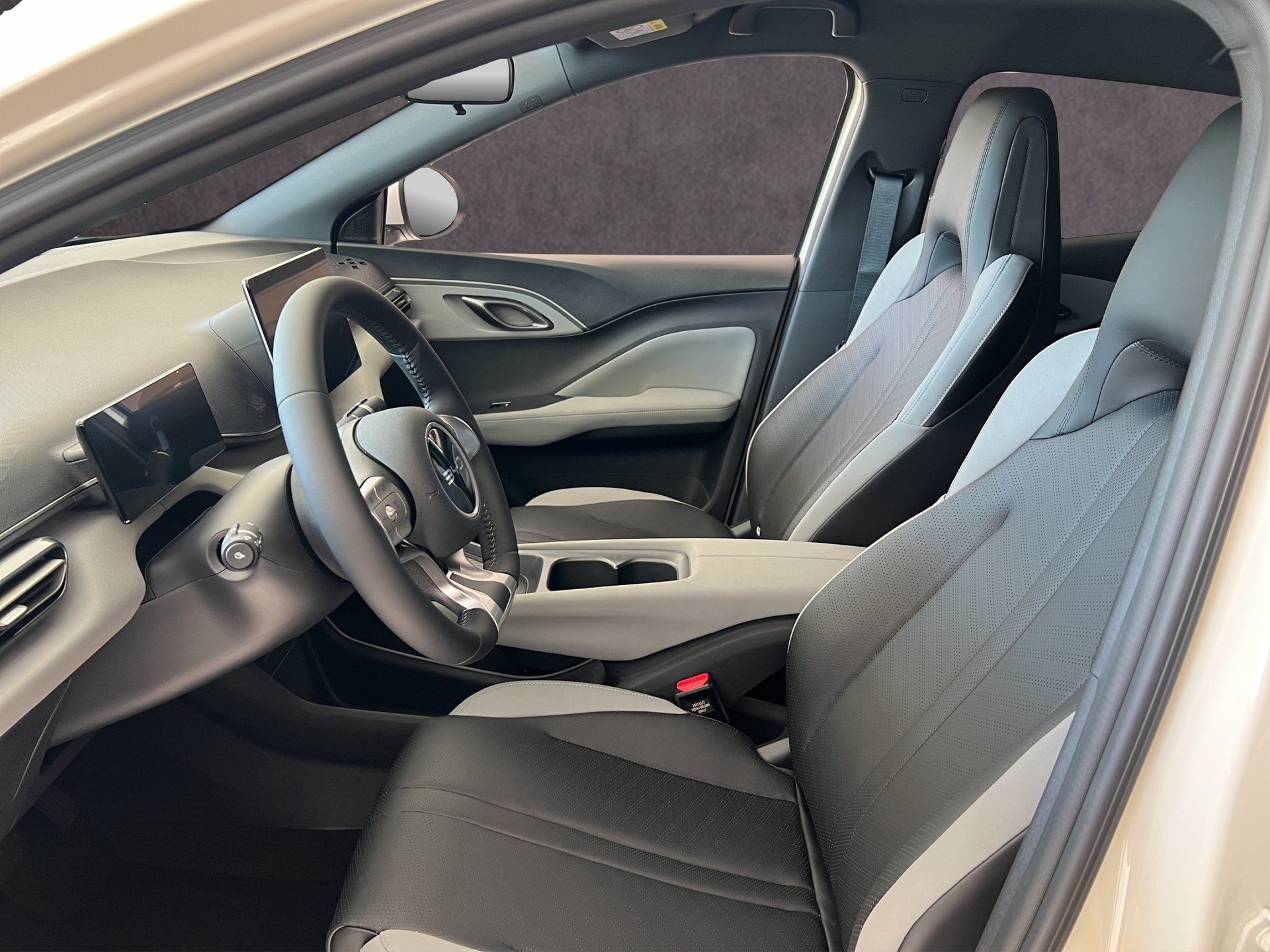 BYD Dolphin Surf Comfort-image-8