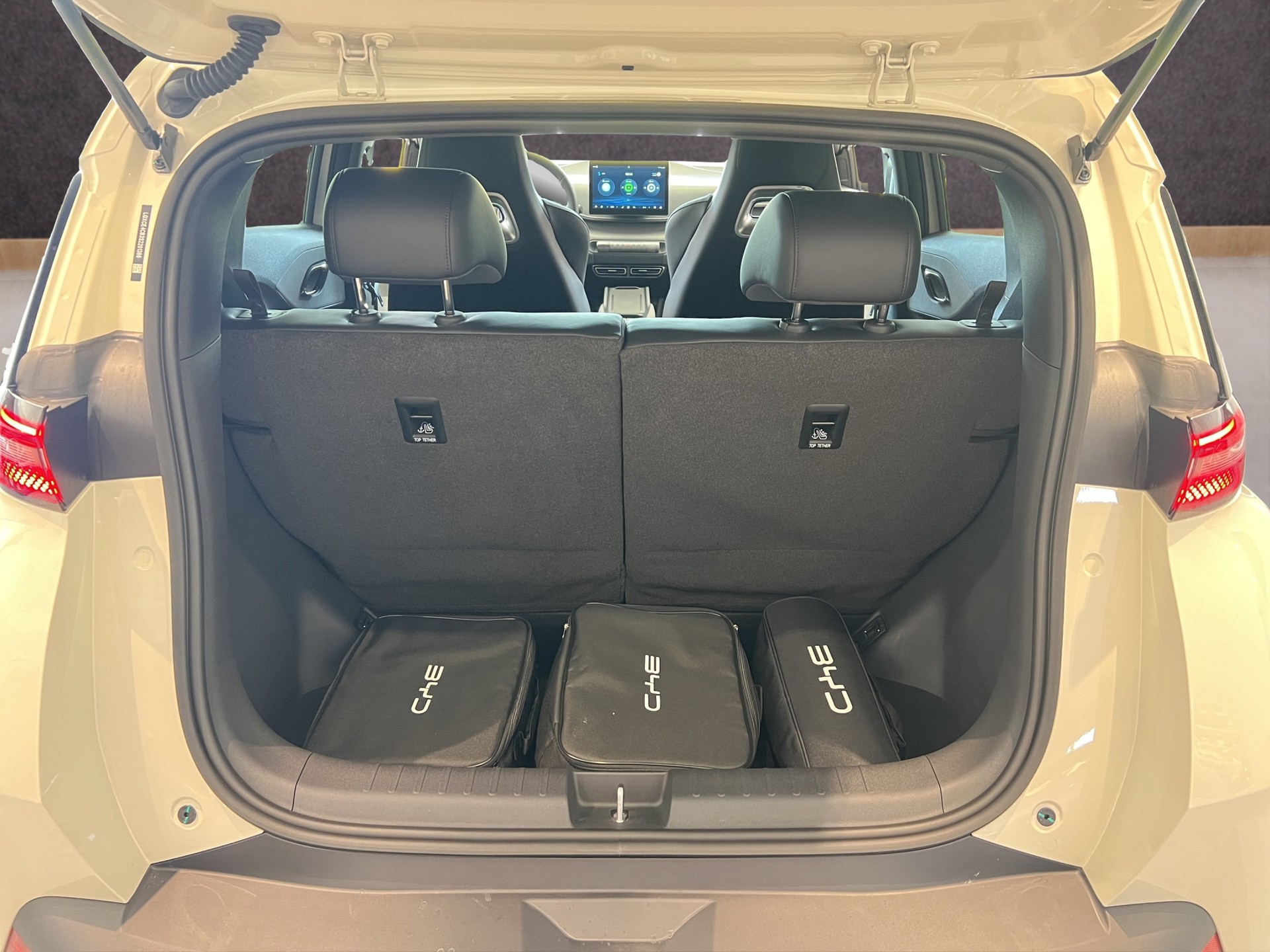 BYD Dolphin Surf Comfort-image-15