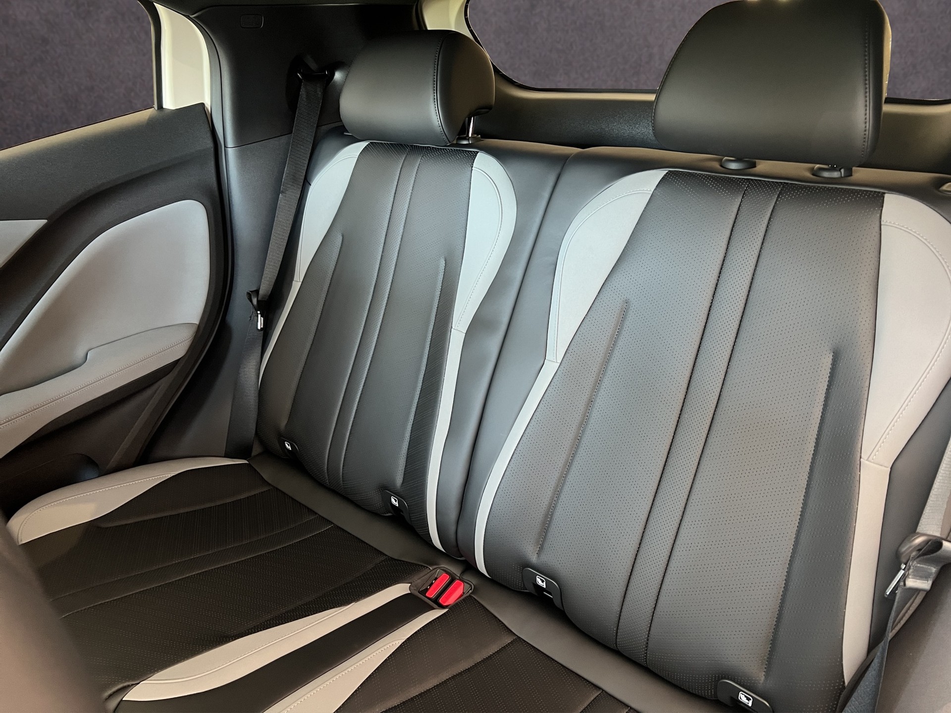 BYD Dolphin Surf Comfort-image-14