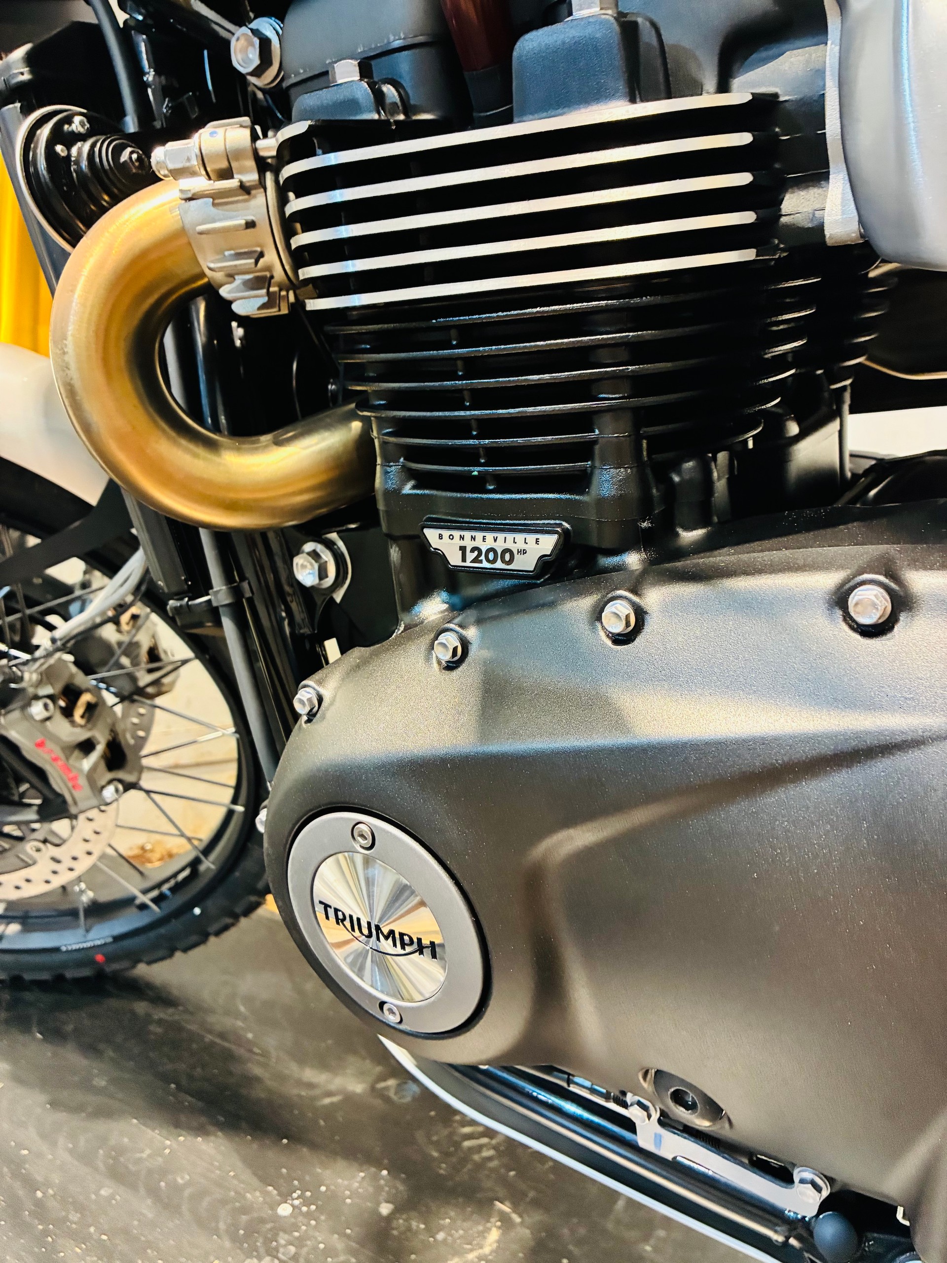 TRIUMPH Scrambler 1200 XE-image-8