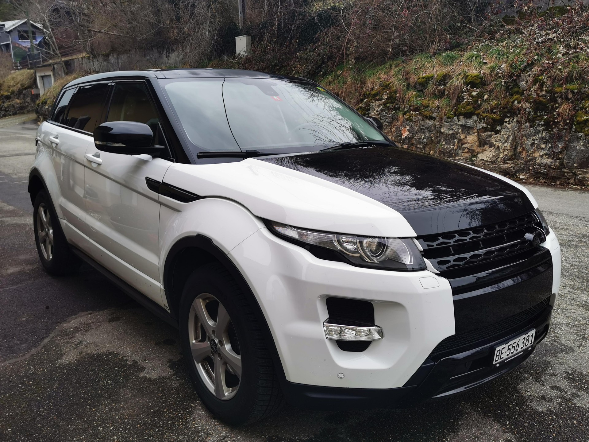 LAND ROVER 2.2 TD4 Dynamic
