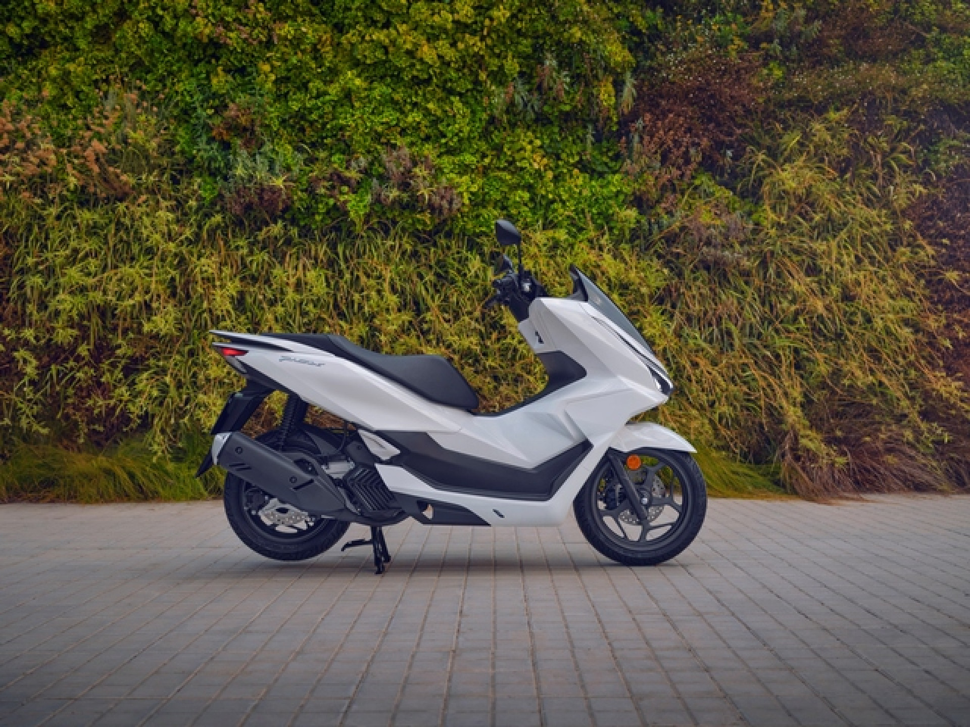 HONDA PCX 125 6 ans de garantie-image-2