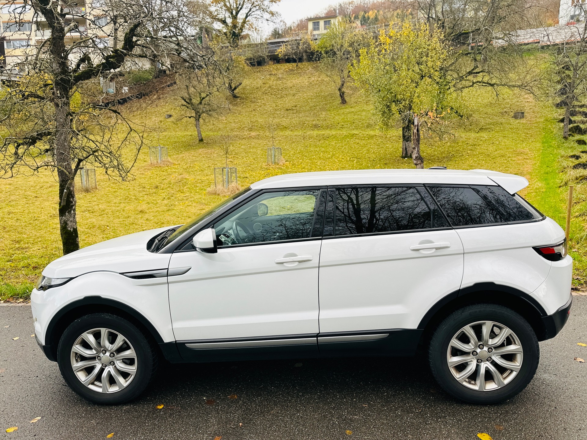 LAND ROVER Range Rover Evoque 2.2 TD4 Pure AT9-image-6