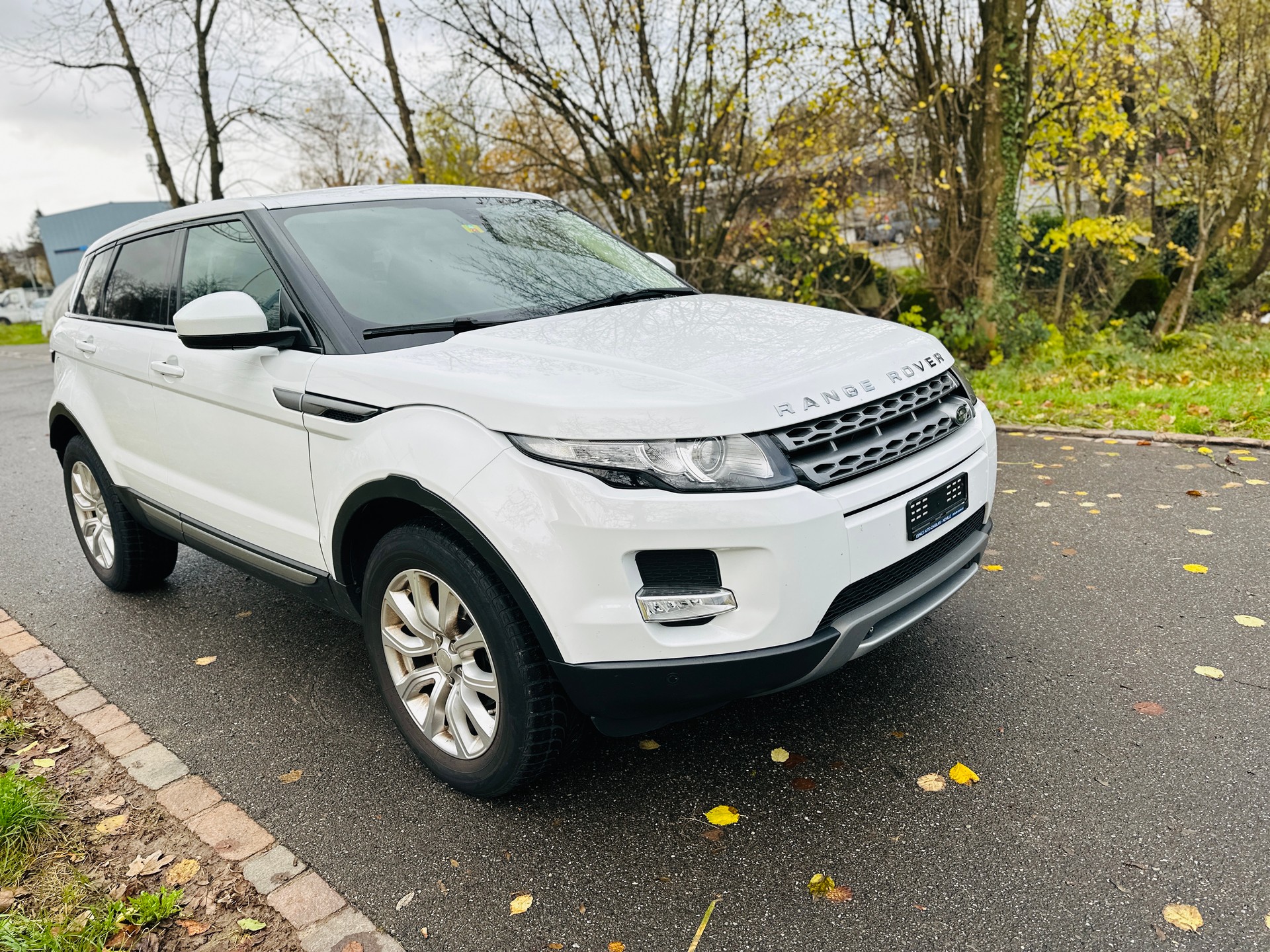 LAND ROVER Range Rover Evoque 2.2 TD4 Pure AT9-image-3