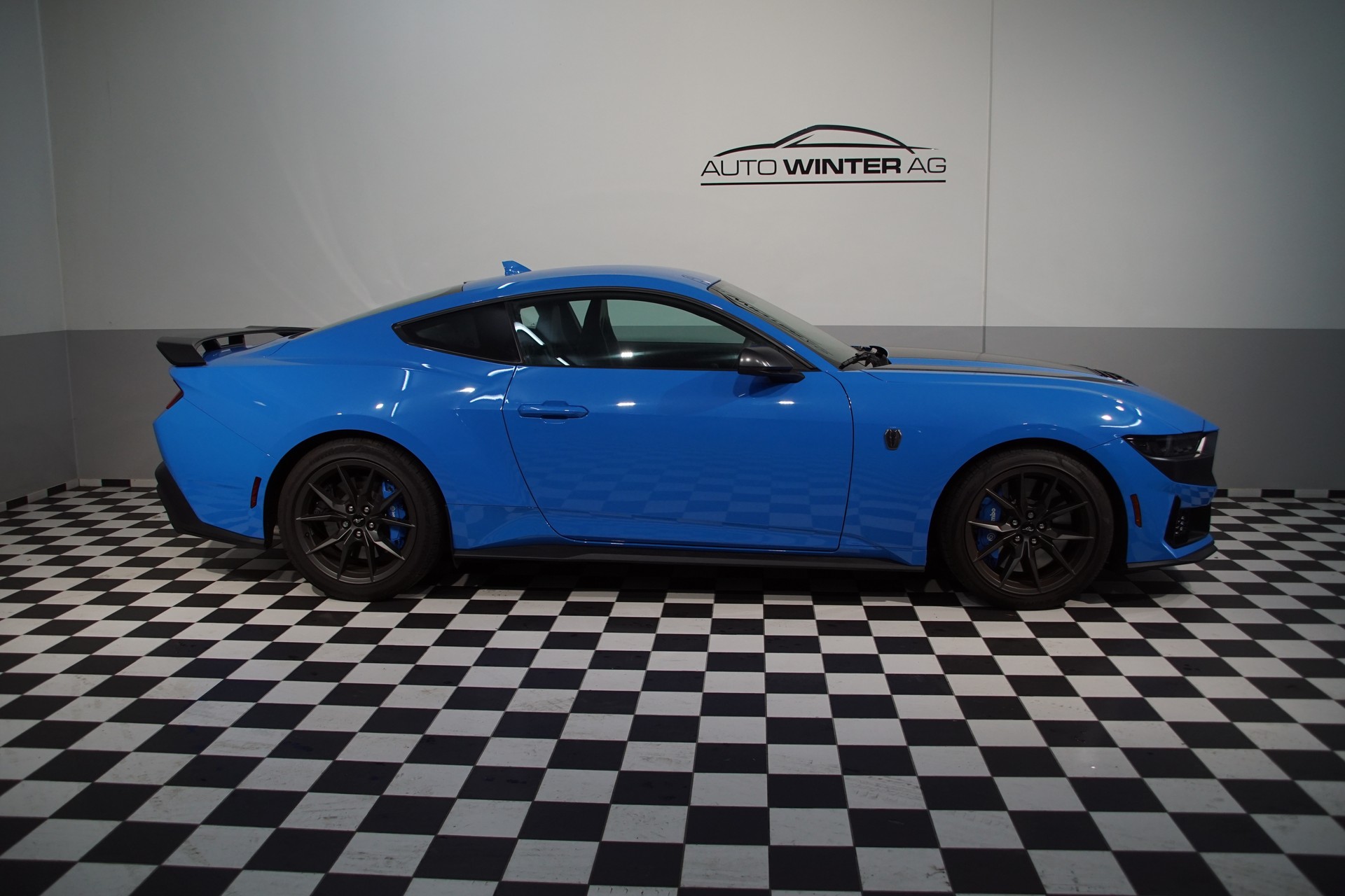 FORD Dark Horse USA Version-image-5