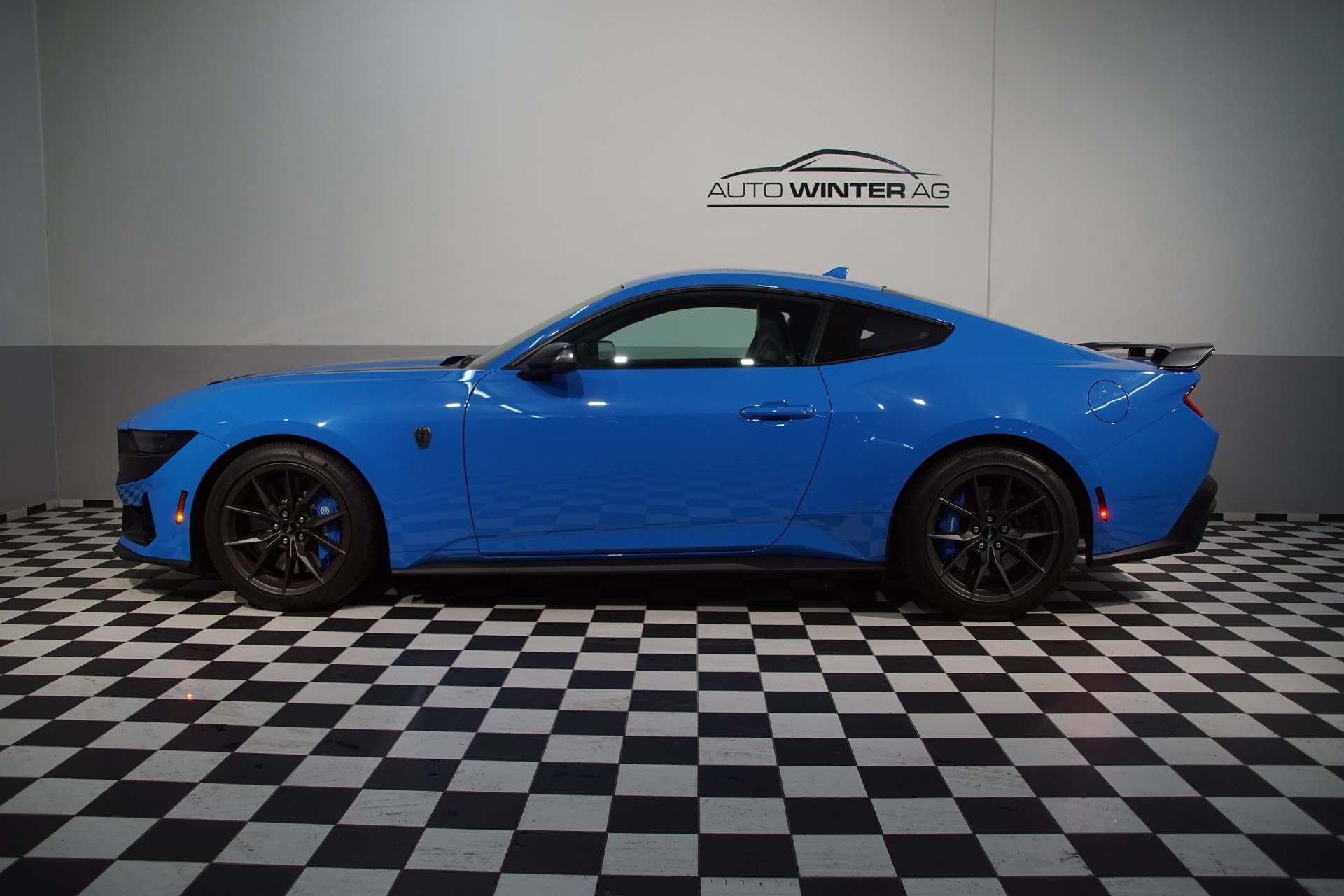 FORD Dark Horse USA Version-image-10