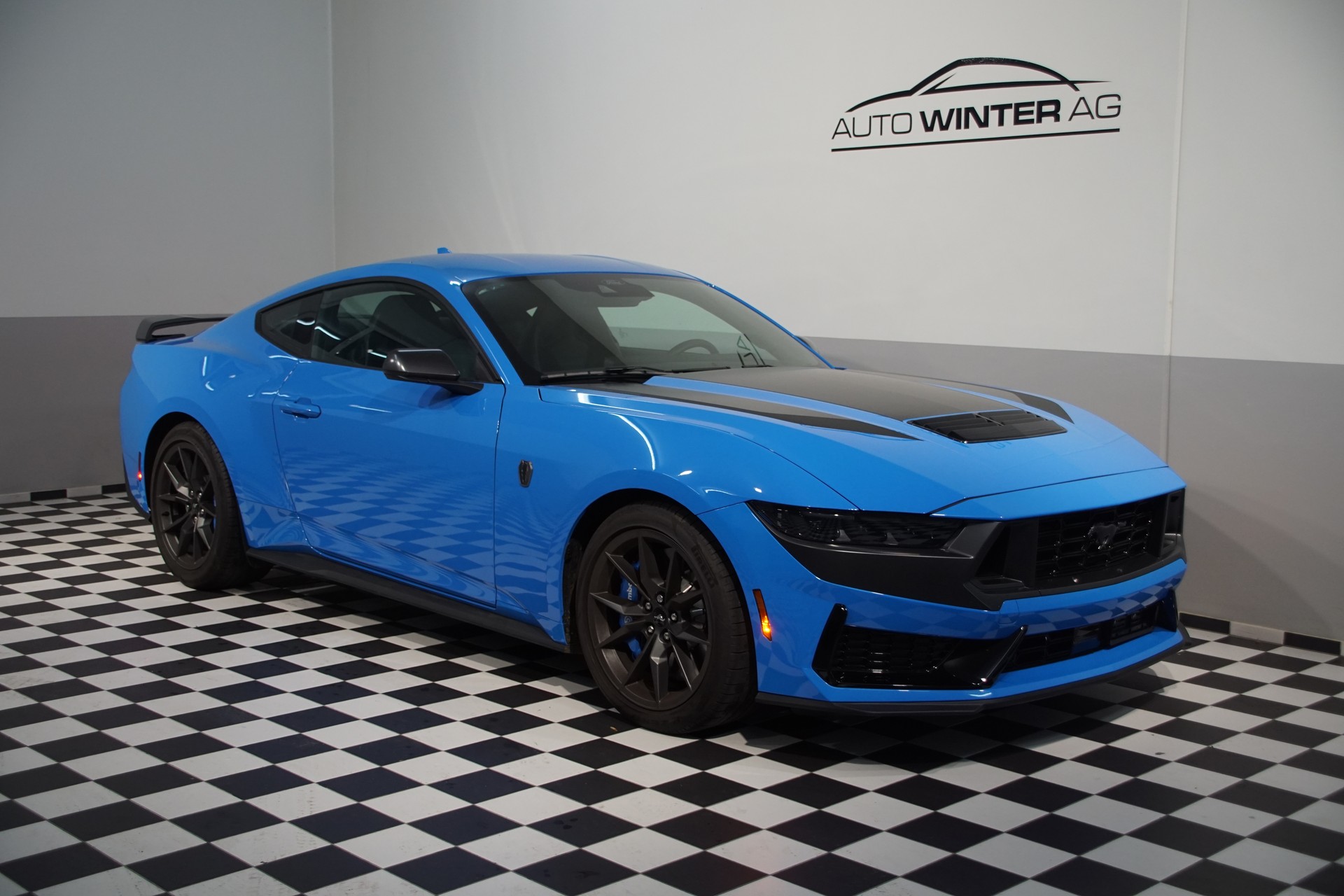 FORD Dark Horse USA Version-showroom-element-3
