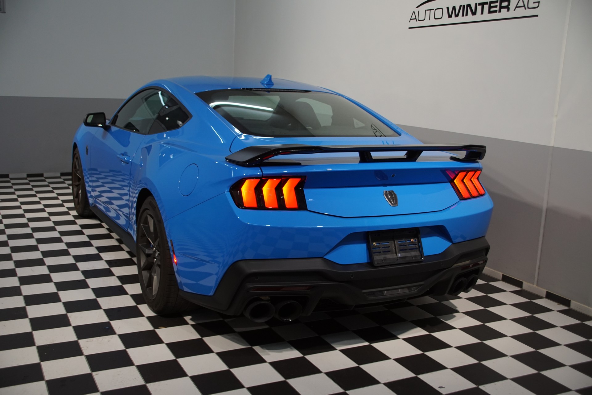 FORD Dark Horse USA Version-image-6