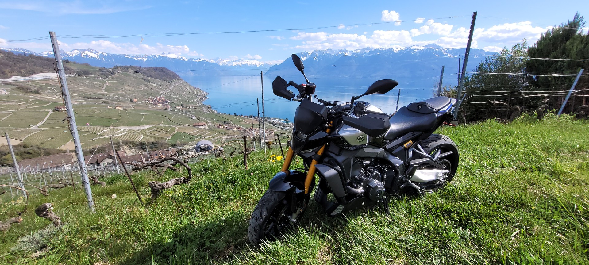 YAMAHA MT-09 SP-image-1