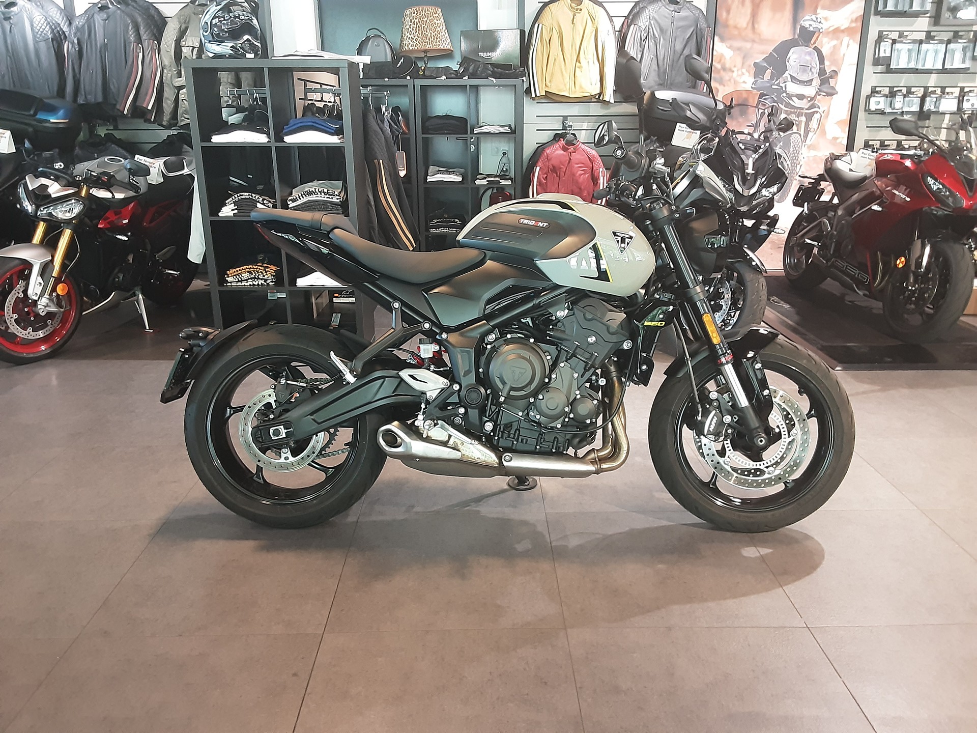 TRIUMPH 660-image-0