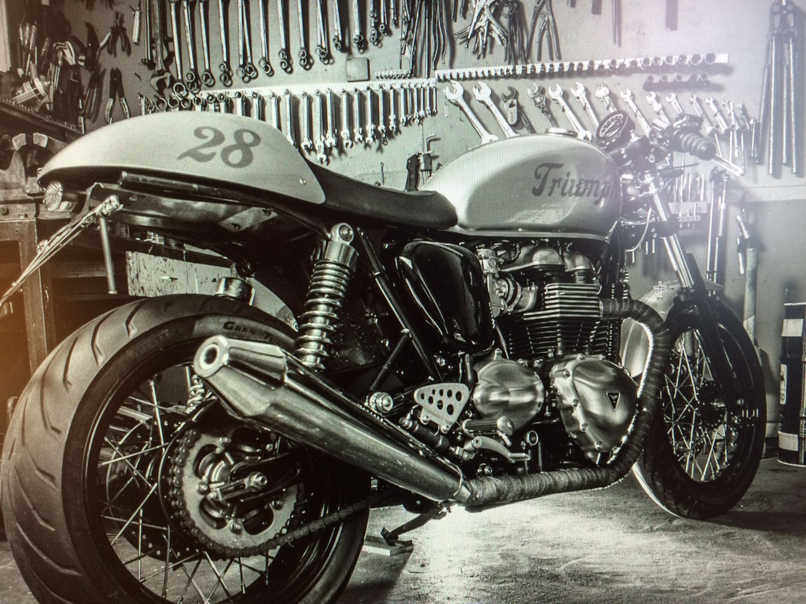 TRIUMPH Thruxton-image-1