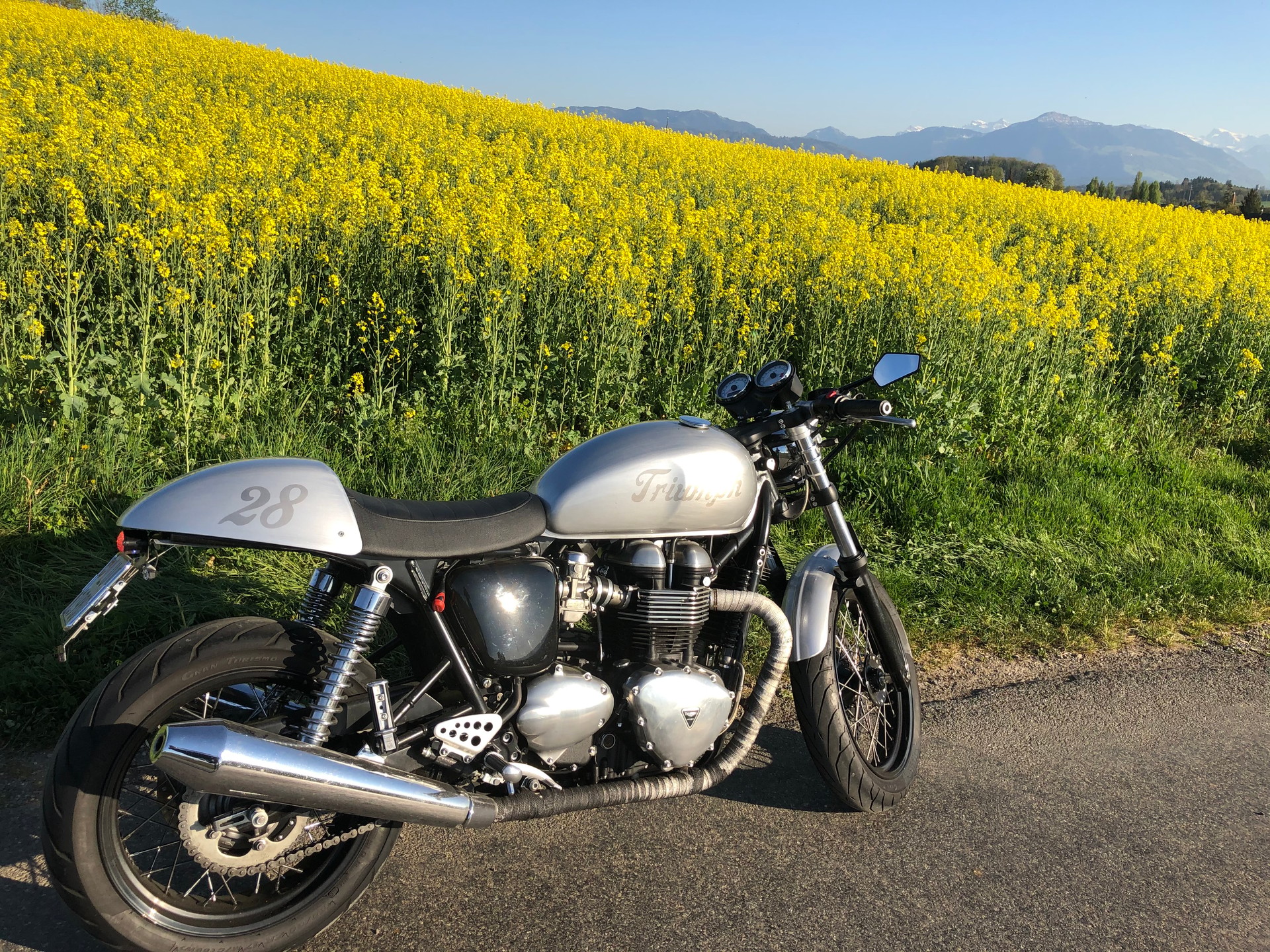 TRIUMPH Thruxton-image-3