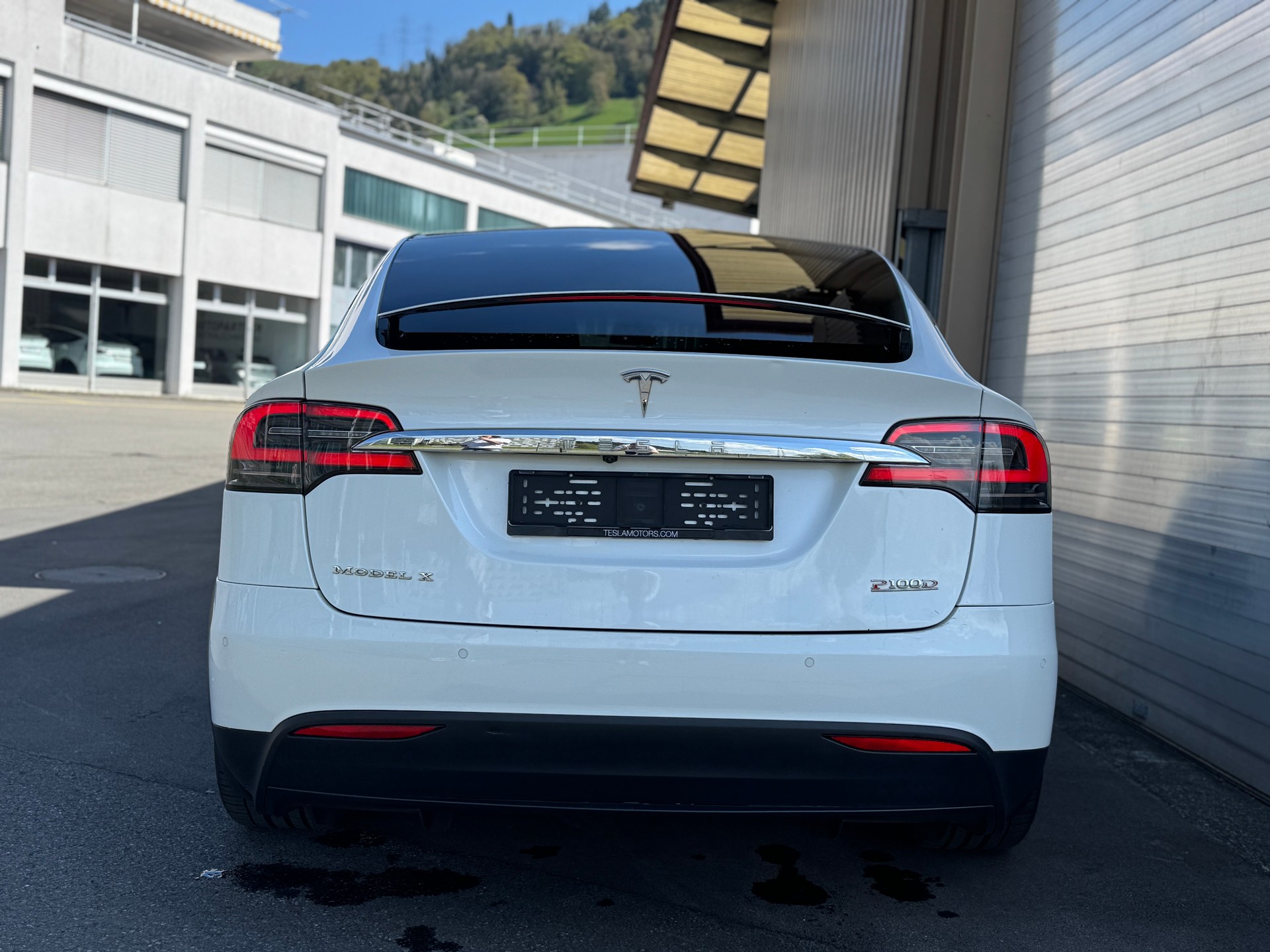 TESLA Model X 100 D Performance-image-4