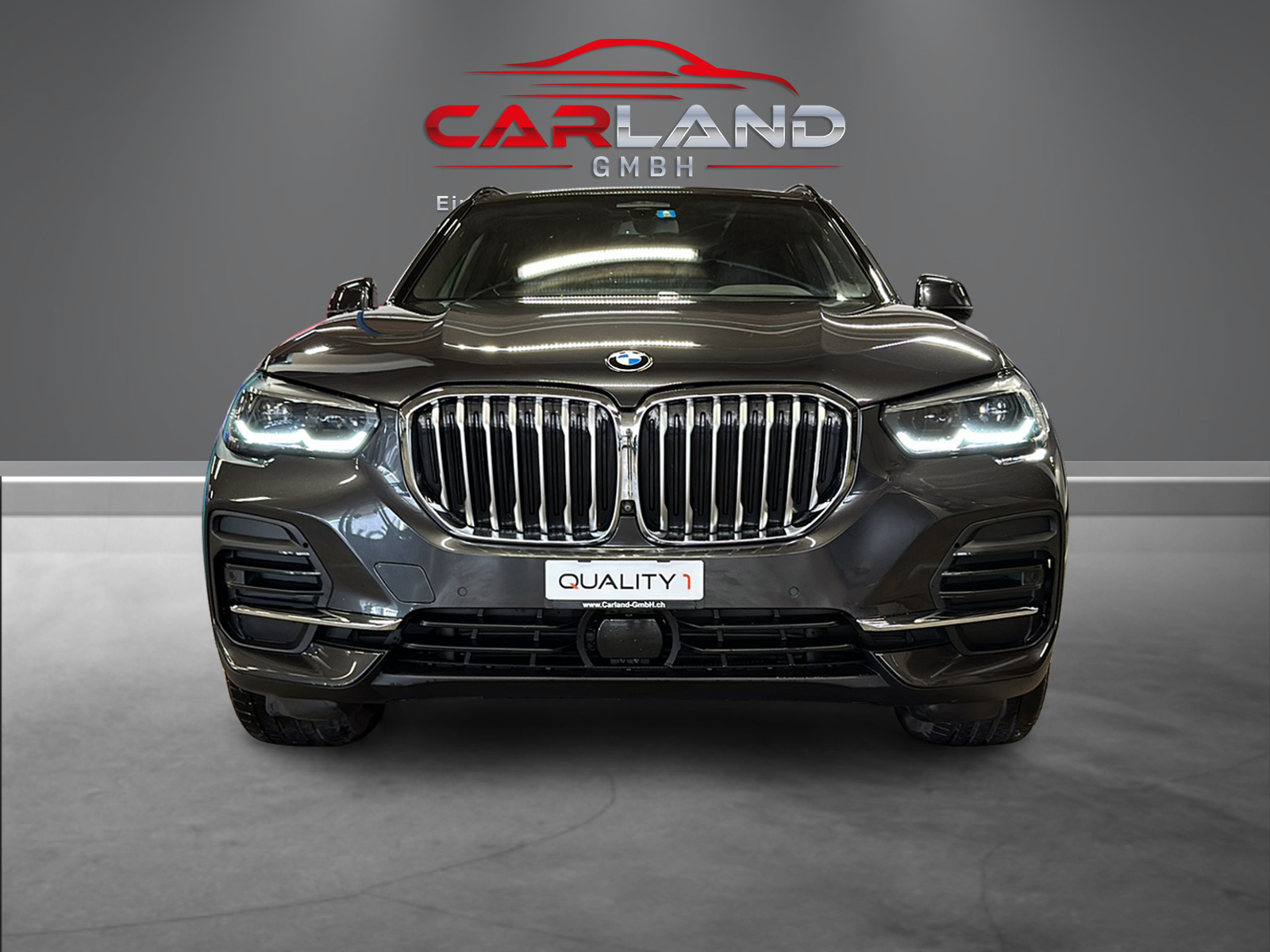 BMW X5 xDrive 25d Steptronic-image-7