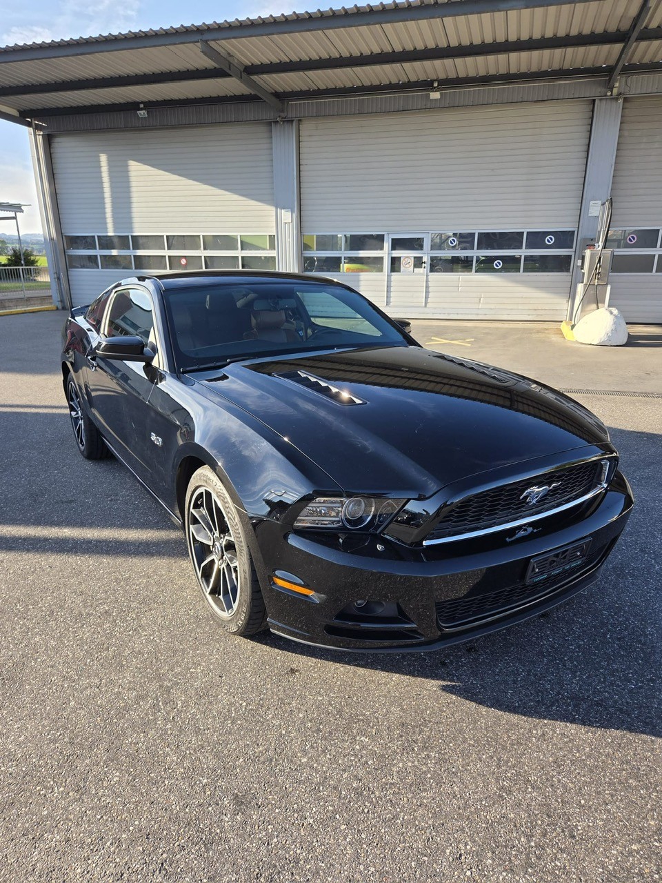 FORD MUSTANG