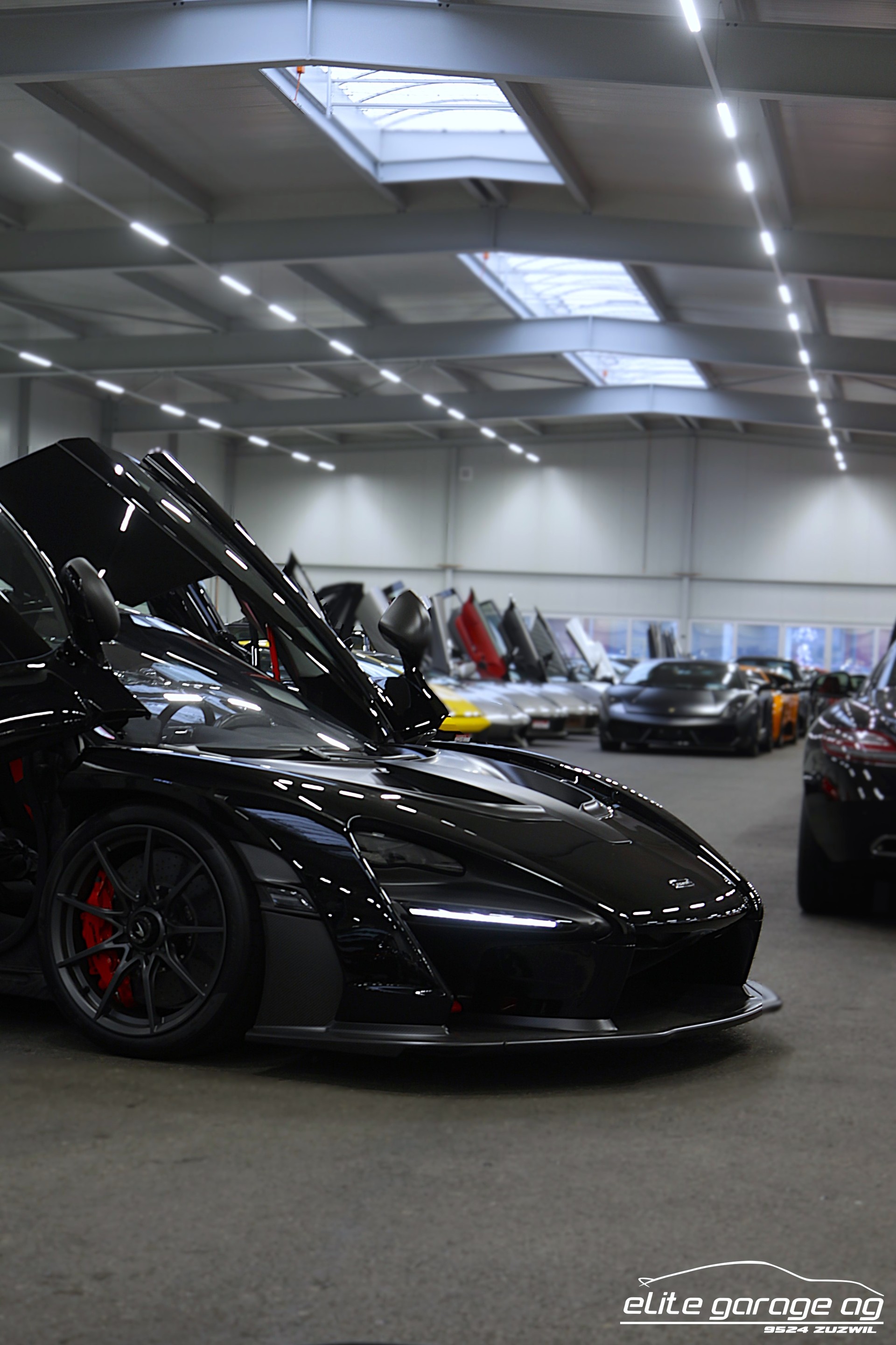McLAREN SENNA-image-3