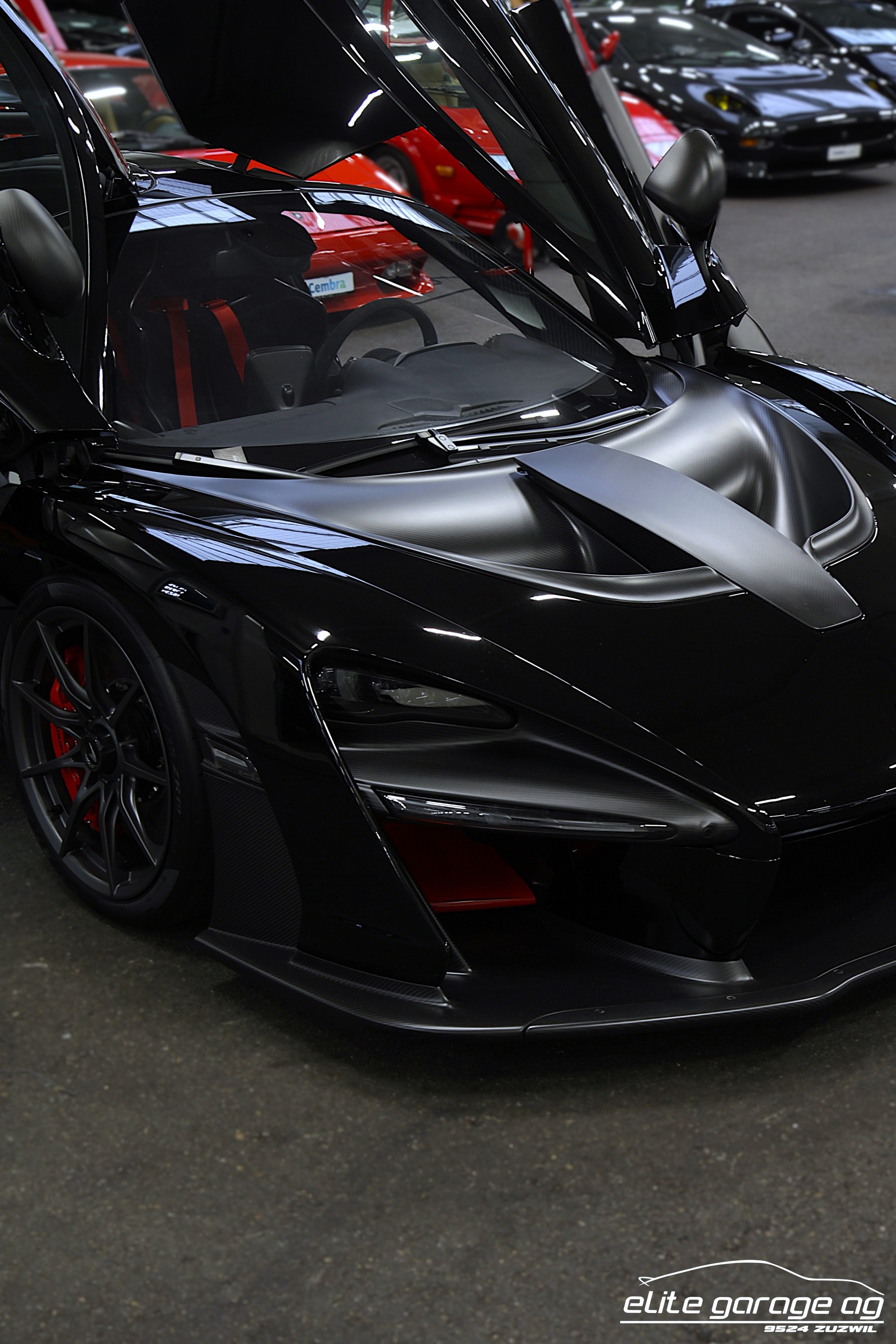 McLAREN SENNA-image-10
