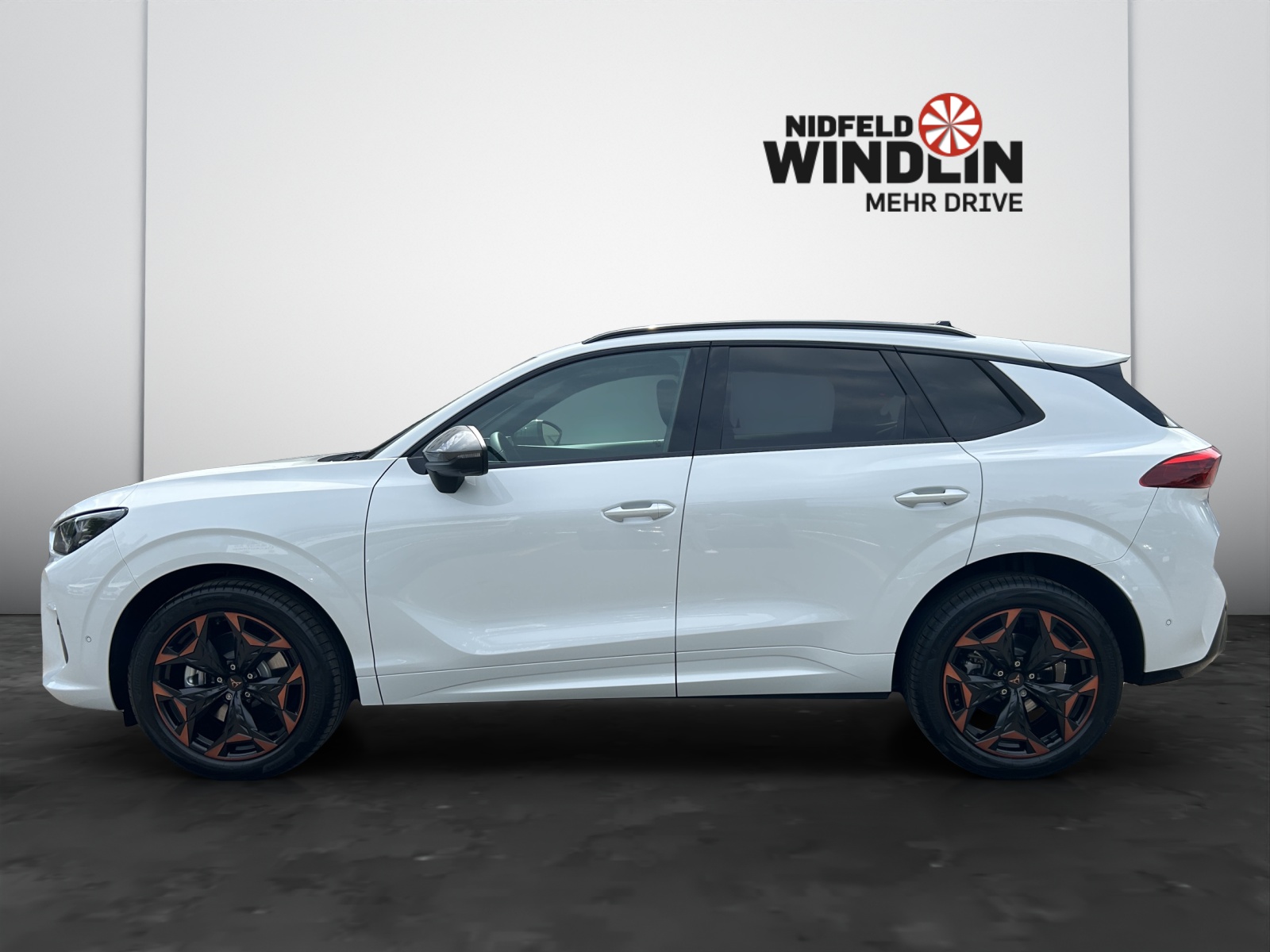 SEAT Terramar 2.0 TSI Prime Edition DSG 4Drive-showroom-element-2