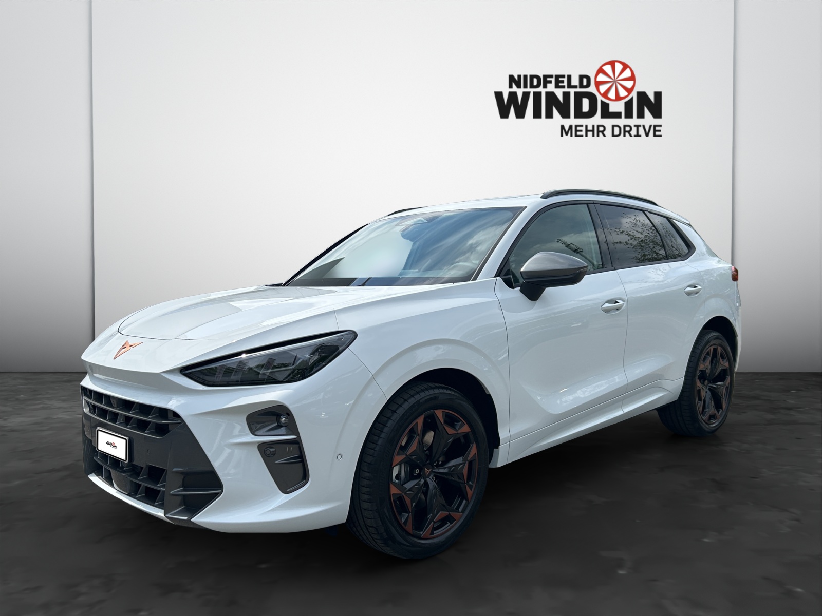 SEAT Terramar 2.0 TSI Prime Edition DSG 4Drive-showroom-element-1