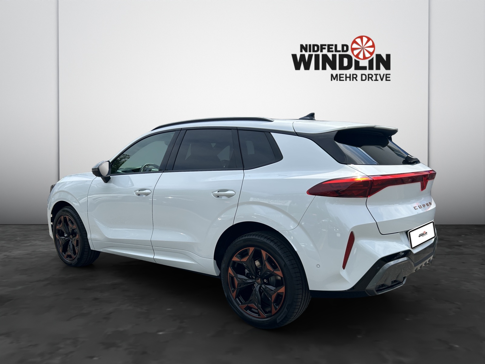 SEAT Terramar 2.0 TSI Prime Edition DSG 4Drive-showroom-element-3