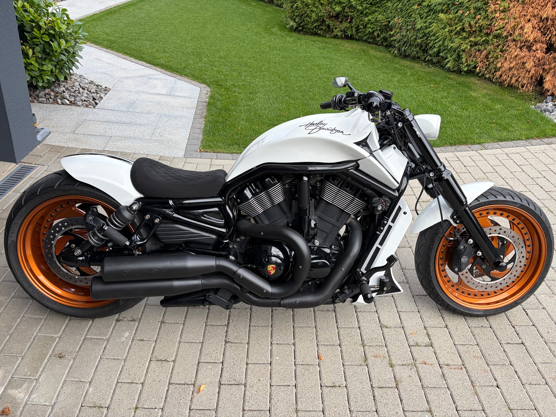 HARLEY-DAVIDSON VRSCDX Night Rod Special-image-0