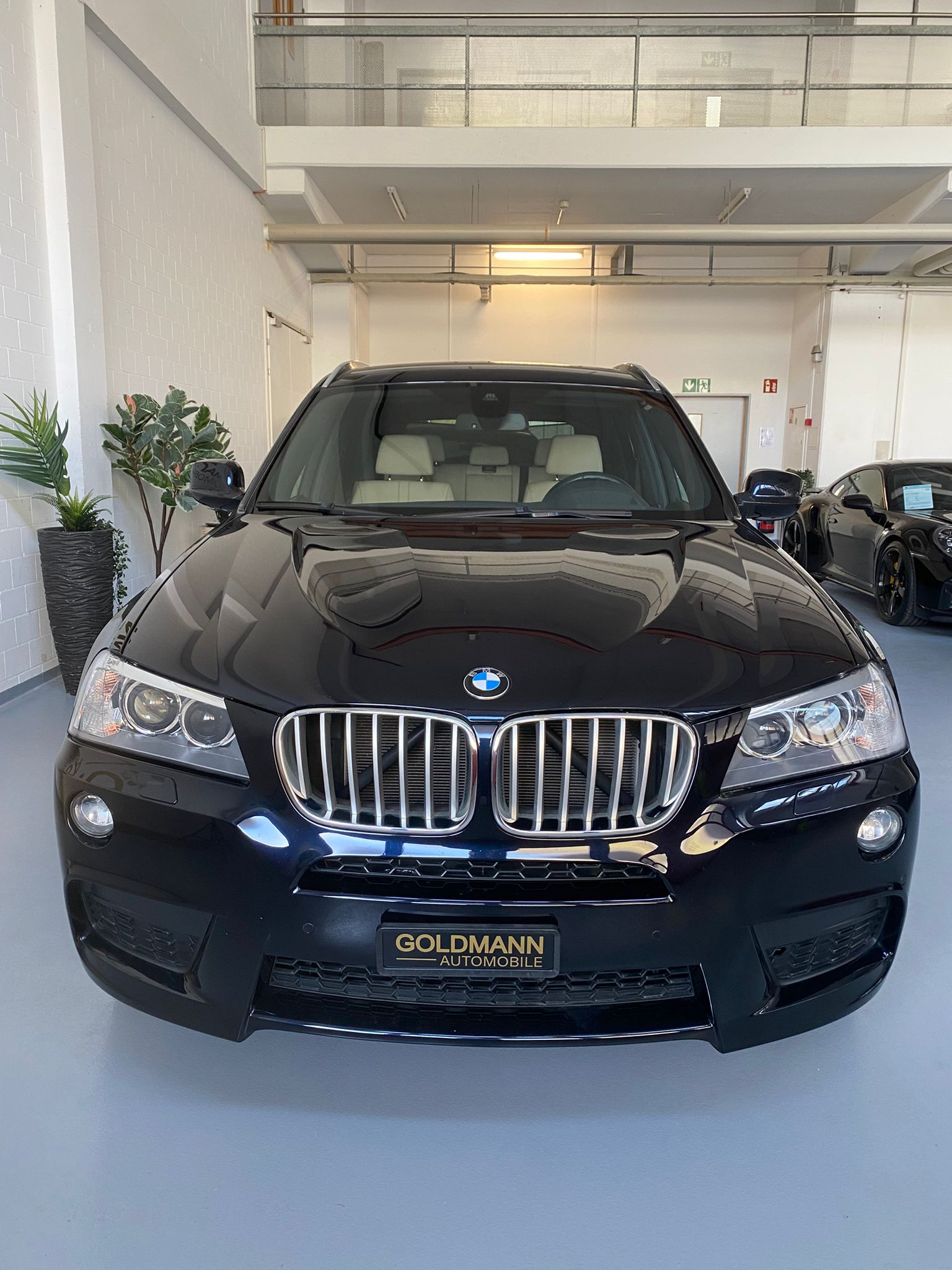 BMW X3 xDrive 30d Steptronic-showroom-element-2