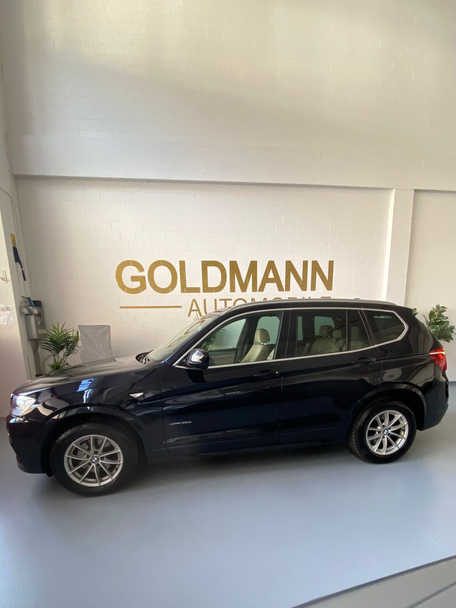 BMW X3 xDrive 30d Steptronic-image-11