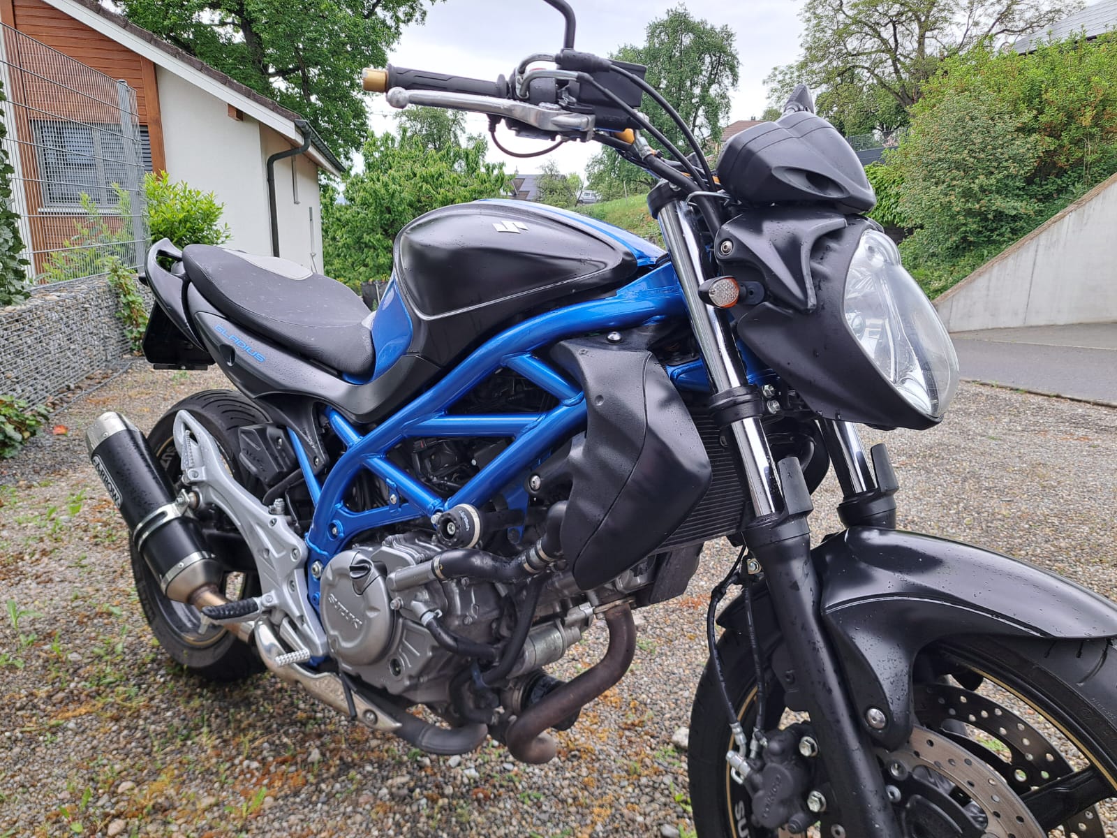 SUZUKI 650A Gladius-image-5