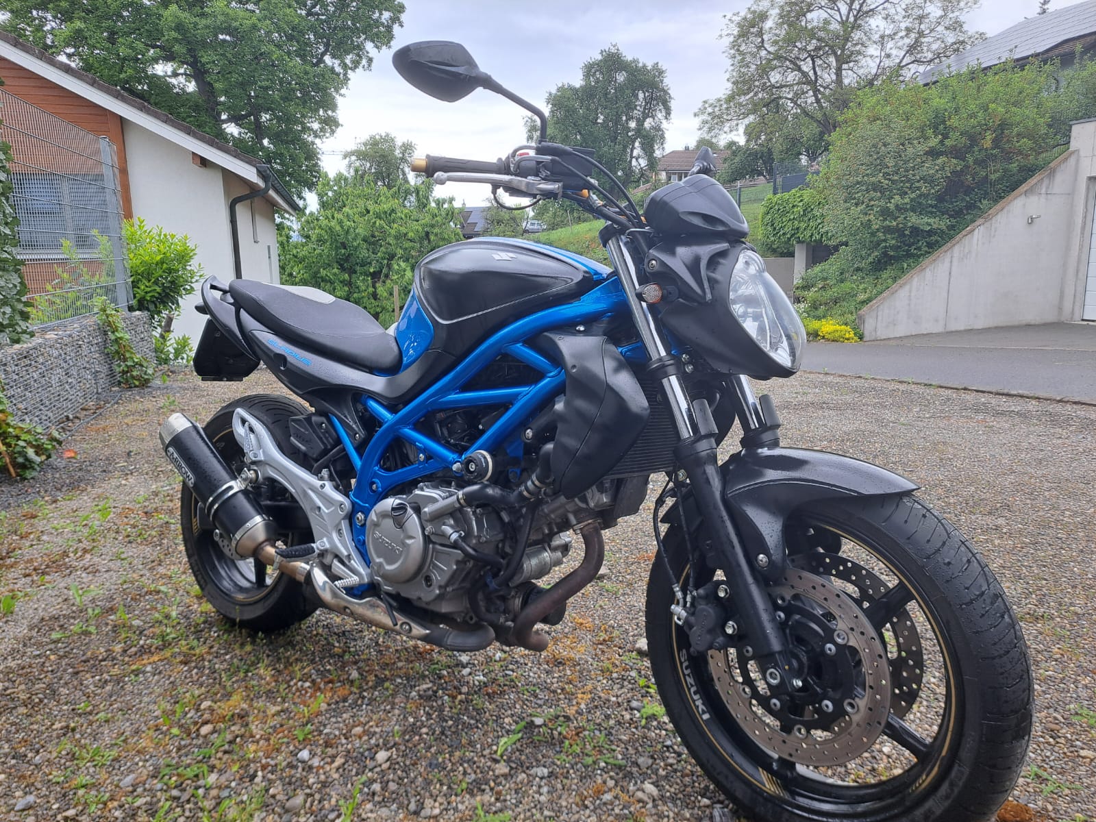 SUZUKI 650A Gladius-image-2