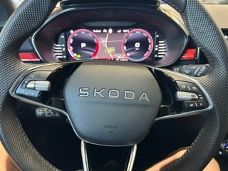 SKODA Fabia 1.0 TSI Monte Carlo DSG-image-12