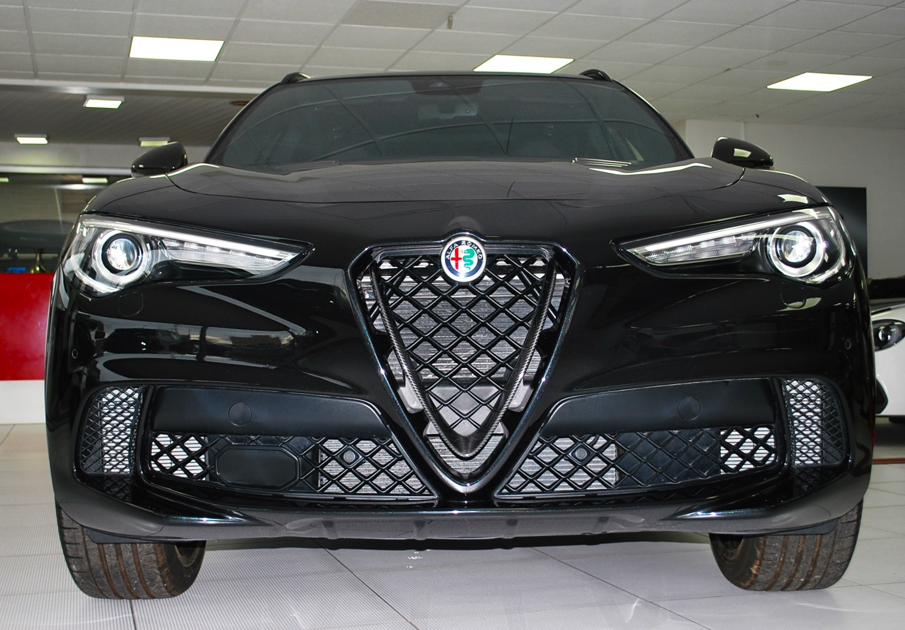 ALFA ROMEO Stelvio 2.9 V6 Quadrifoglio Q4 Competizione Sky-image-1