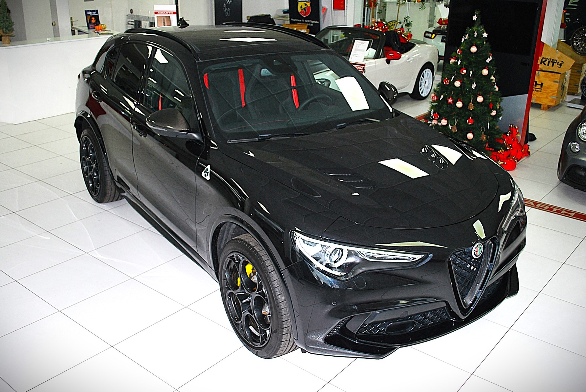 ALFA ROMEO Stelvio 2.9 V6 Quadrifoglio Q4 Competizione Sky-image-7