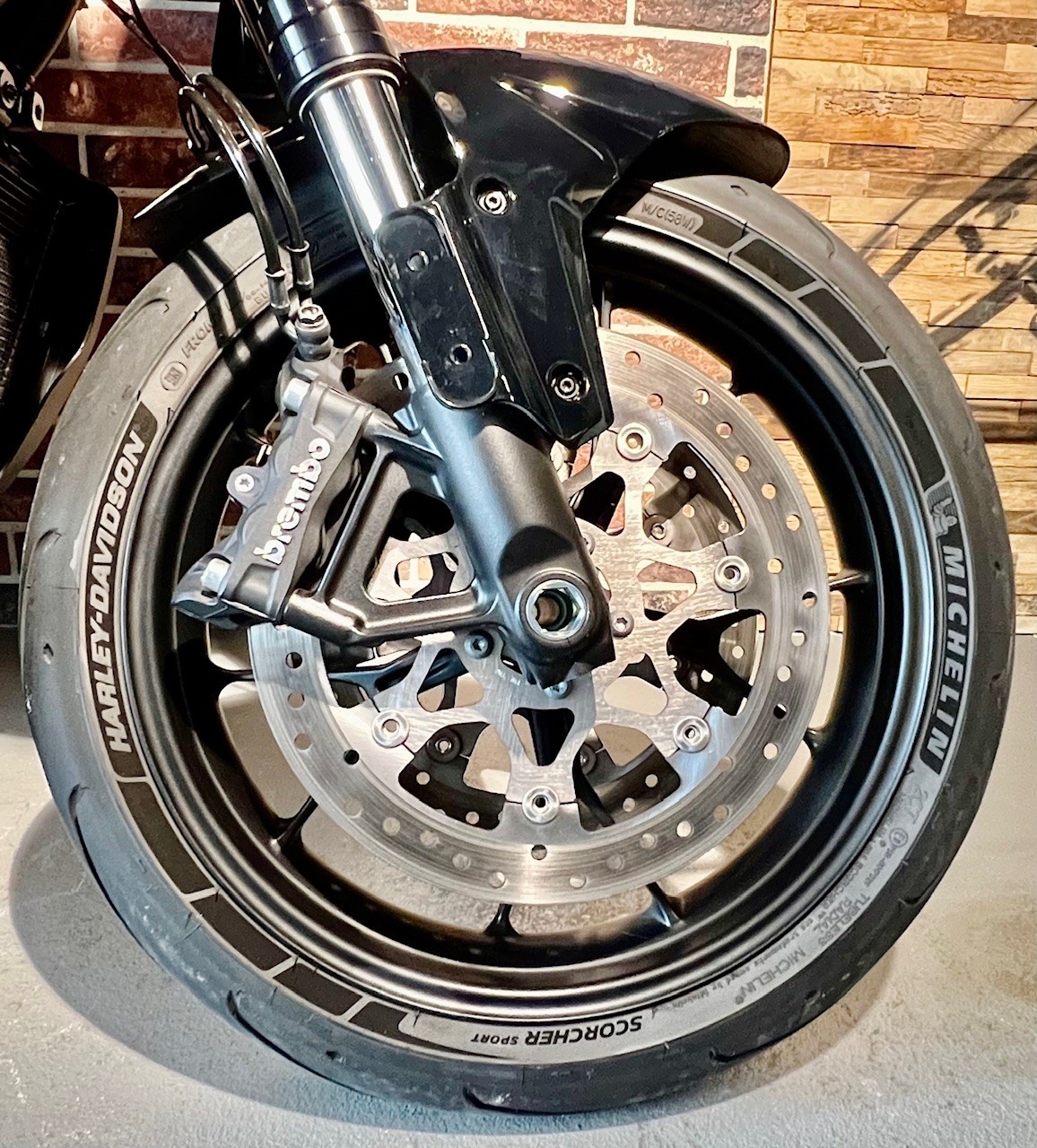 HARLEY-DAVIDSON RA Pan America 1250 S ST-image-7