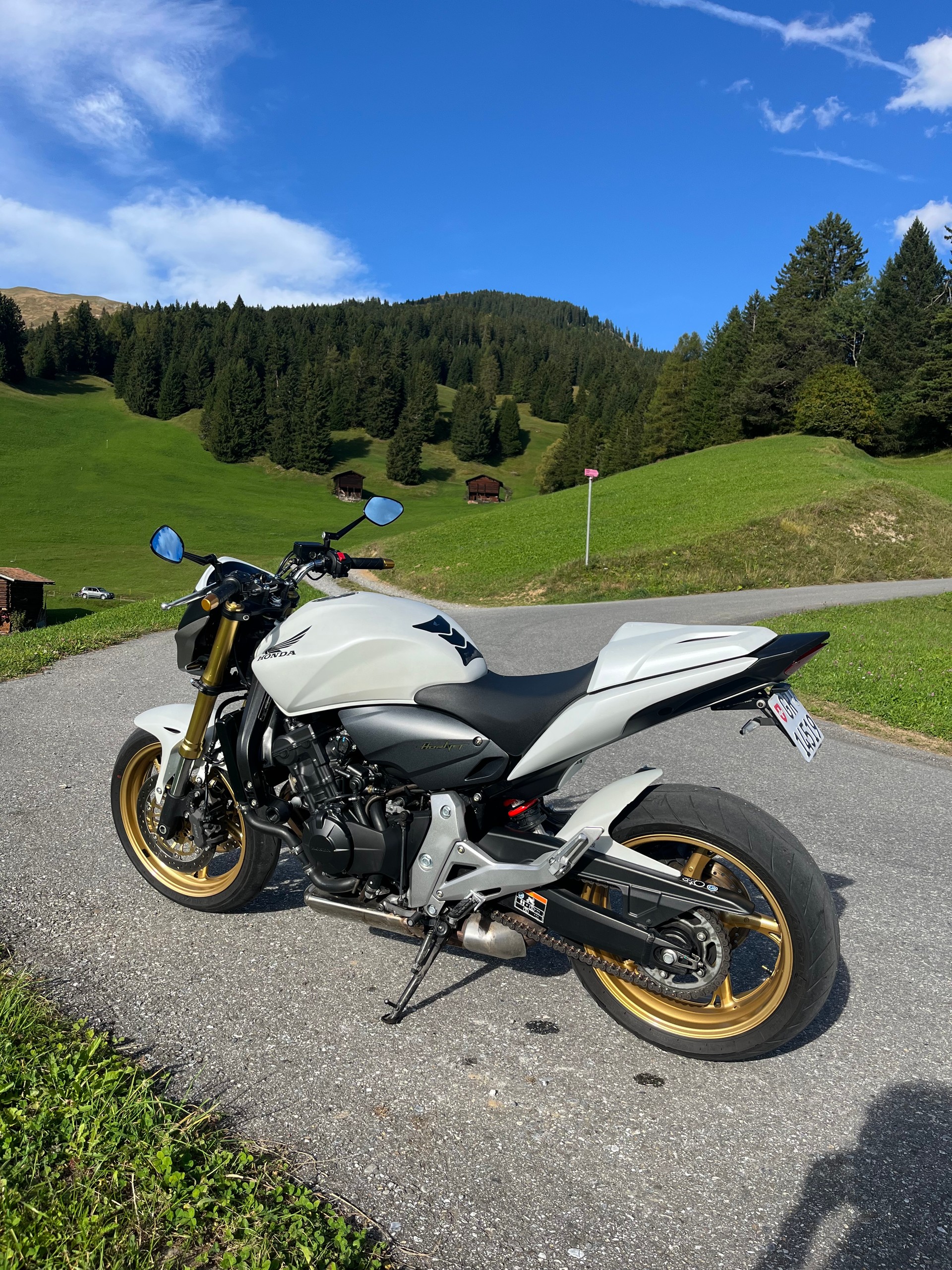 HONDA Hornet-image-3