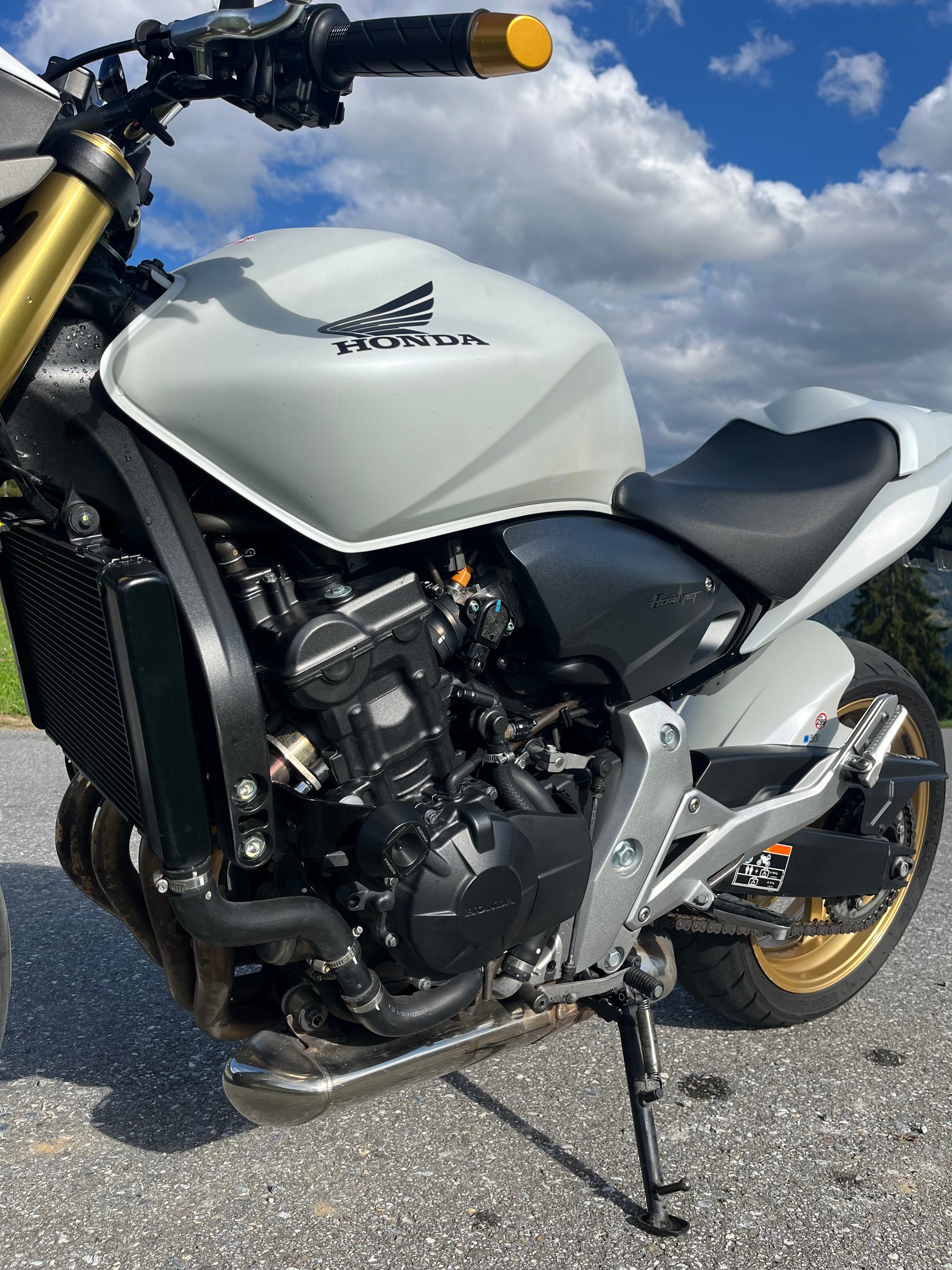 HONDA Hornet-image-2