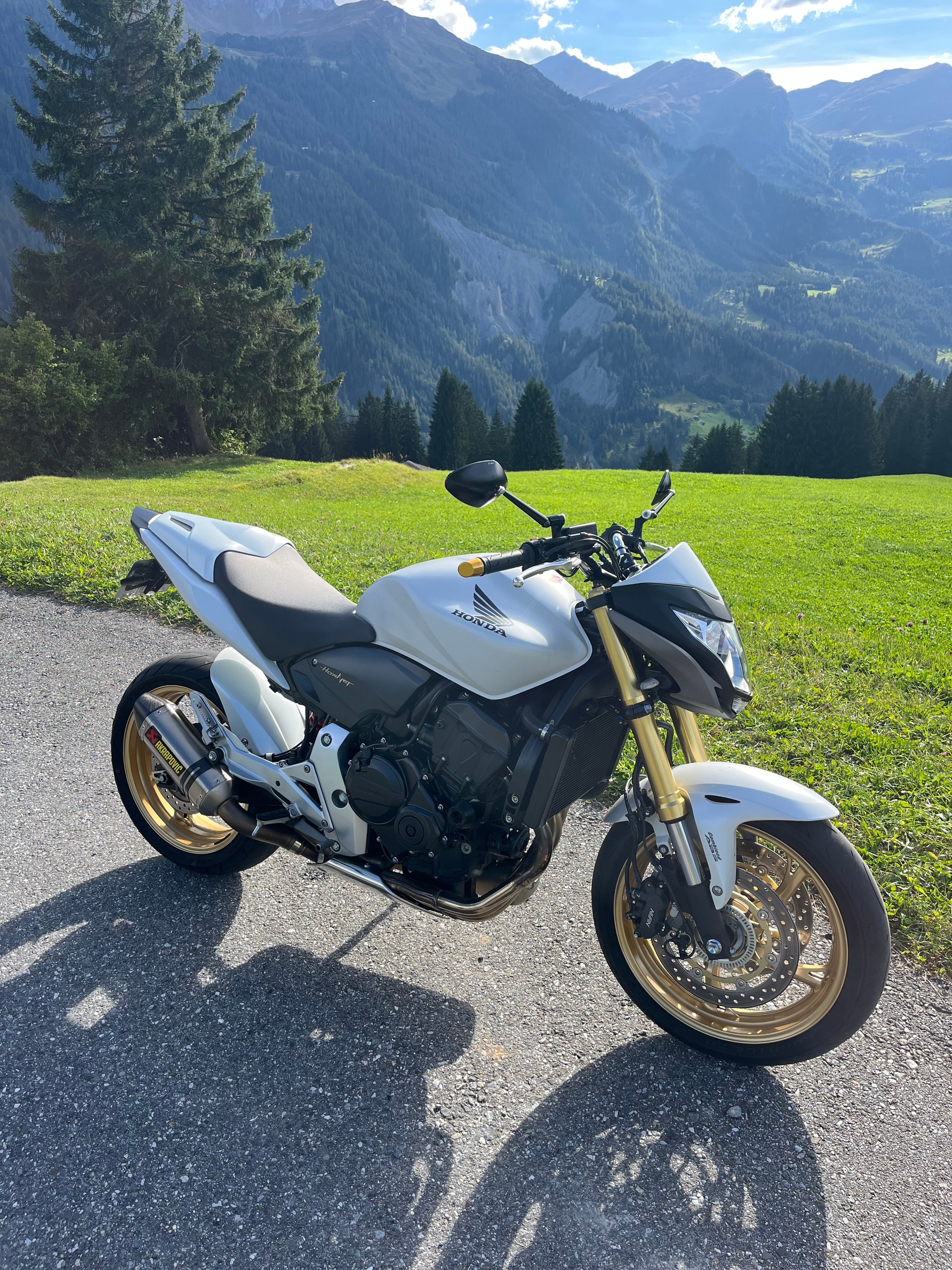 HONDA Hornet-image-0