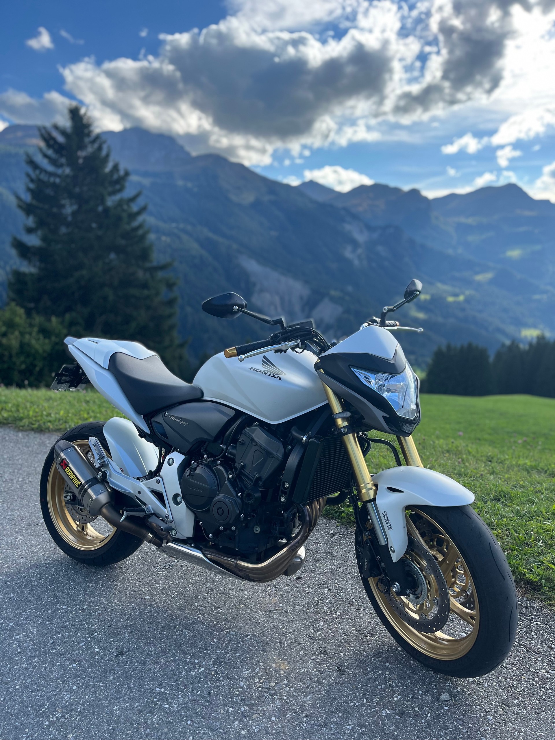 HONDA Hornet-image-5