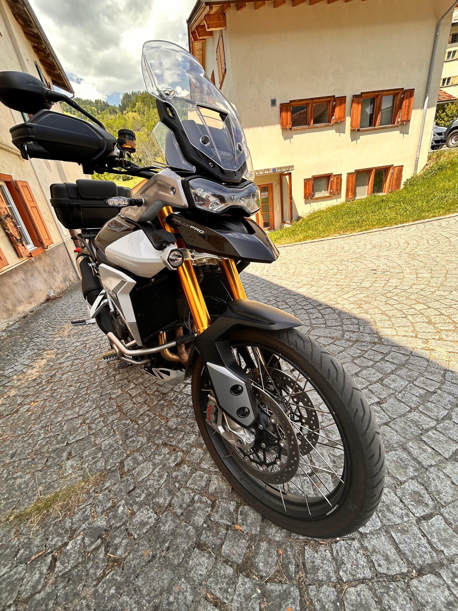 TRIUMPH Tiger 900 Rally Pro-image-5