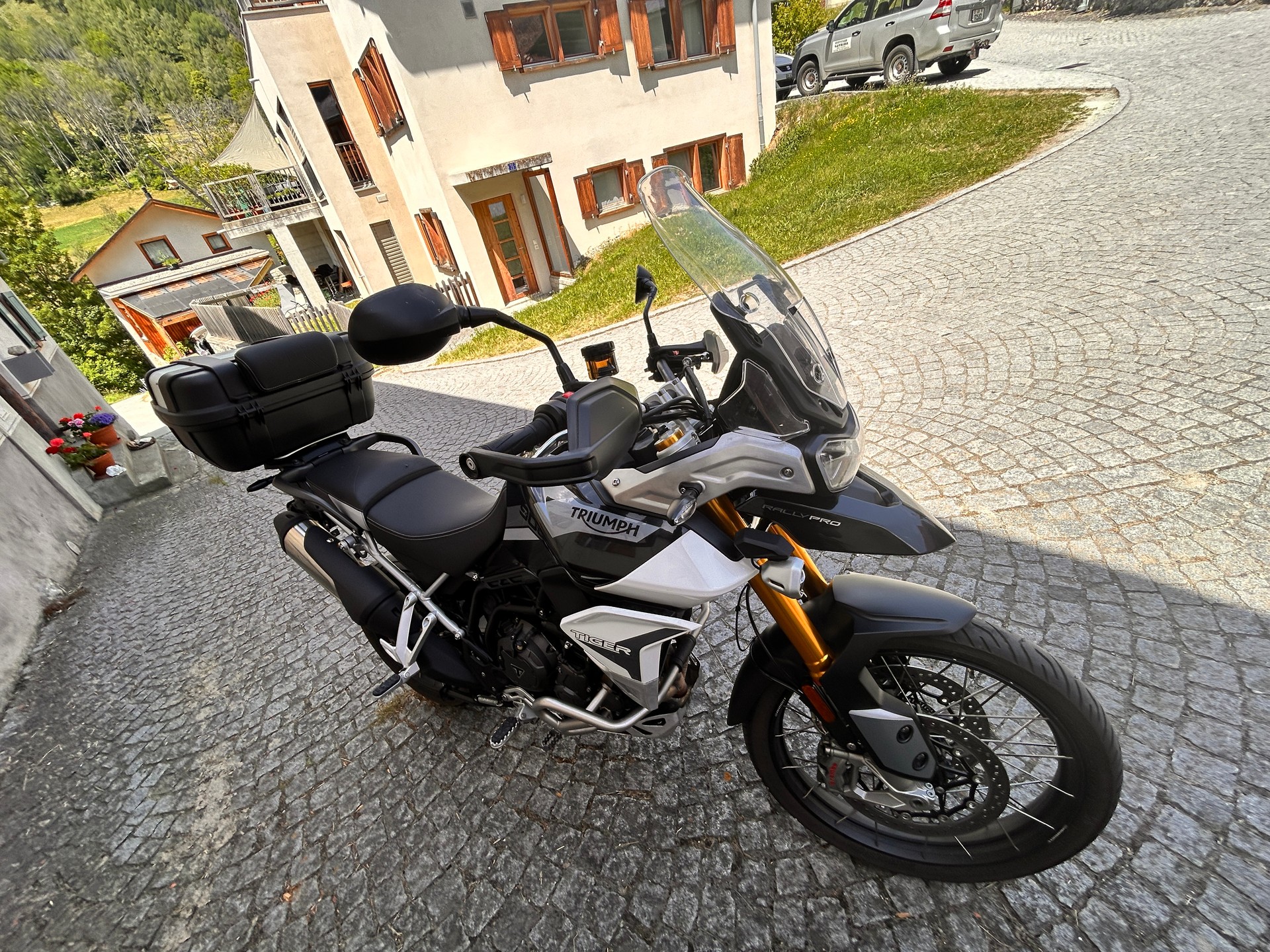 TRIUMPH Tiger 900 Rally Pro-image-2