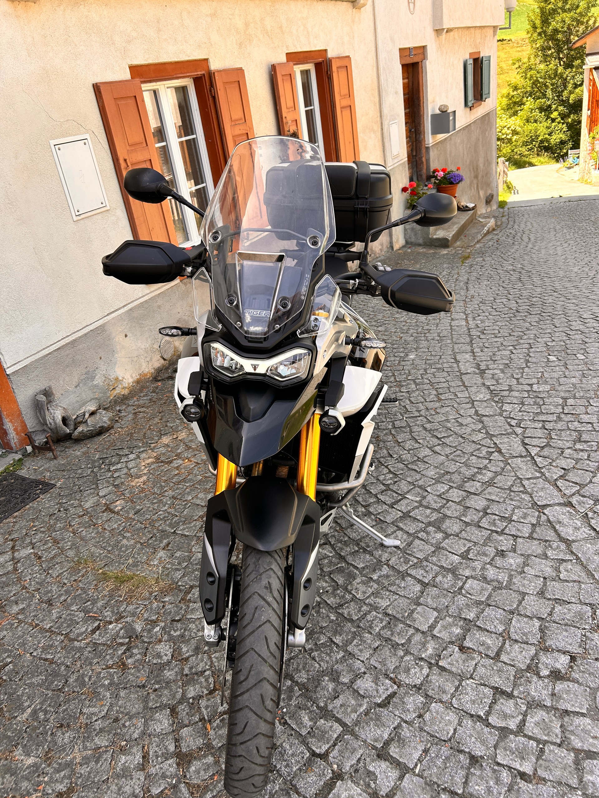 TRIUMPH Tiger 900 Rally Pro-image-6