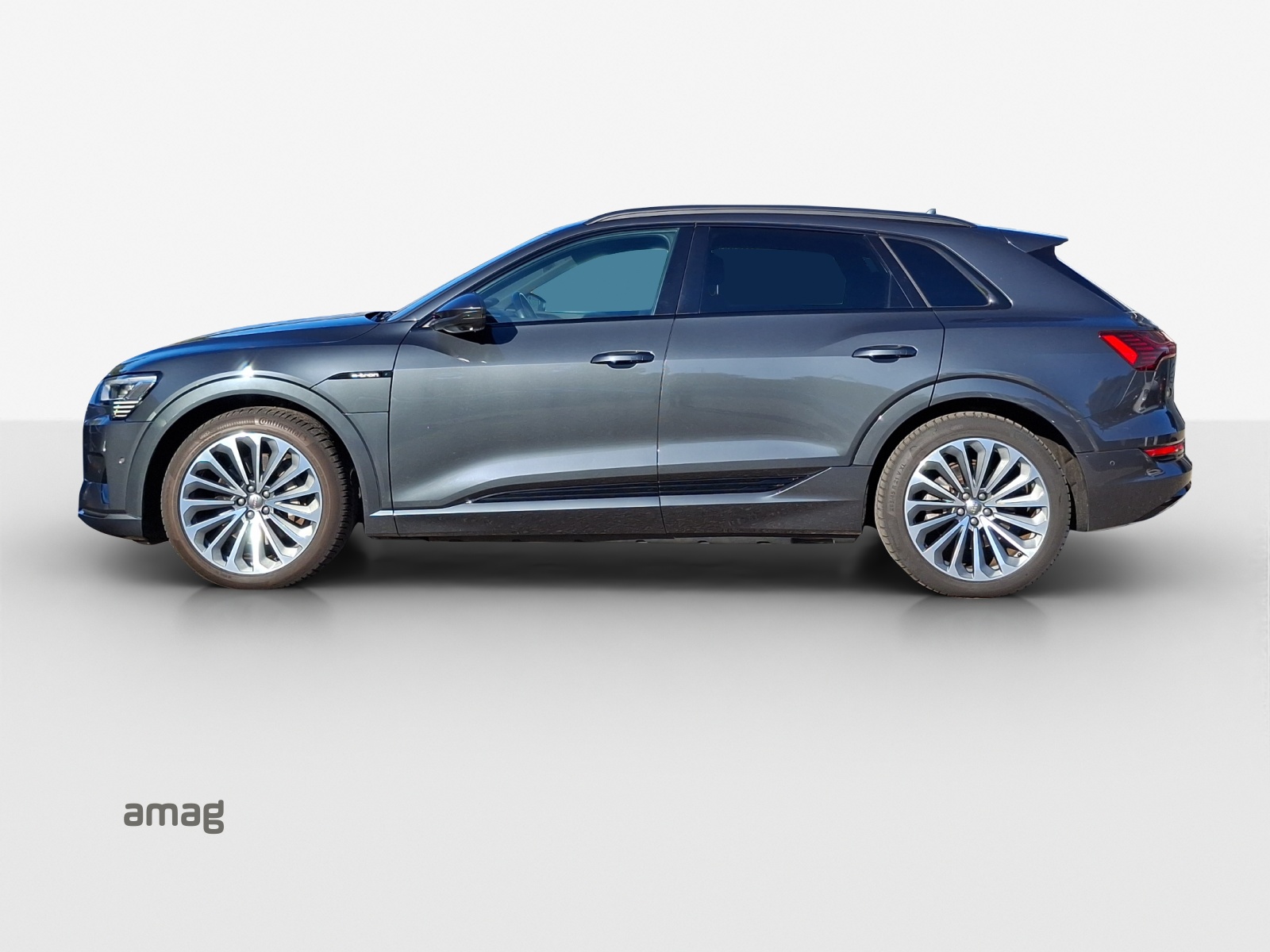 AUDI e-tron 55 Advanced quattro-showroom-element-1
