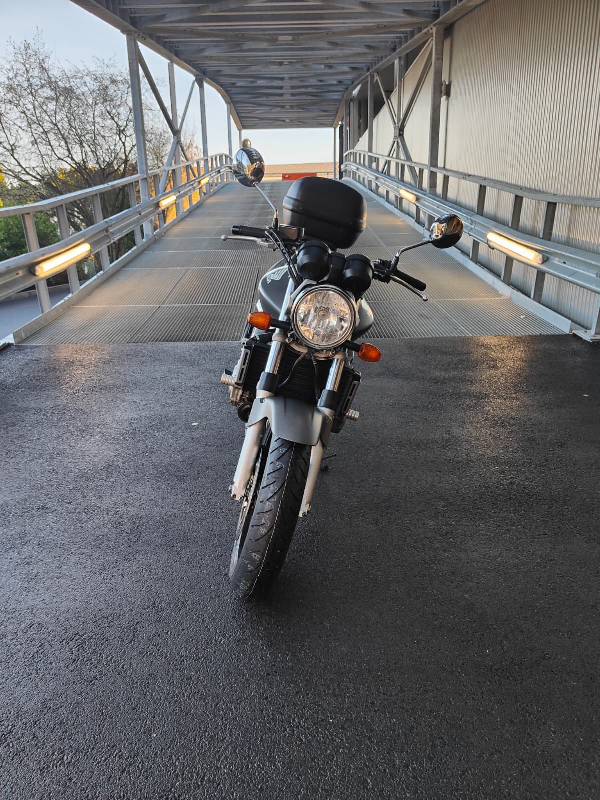 HONDA CB 900 F Hornet-image-2